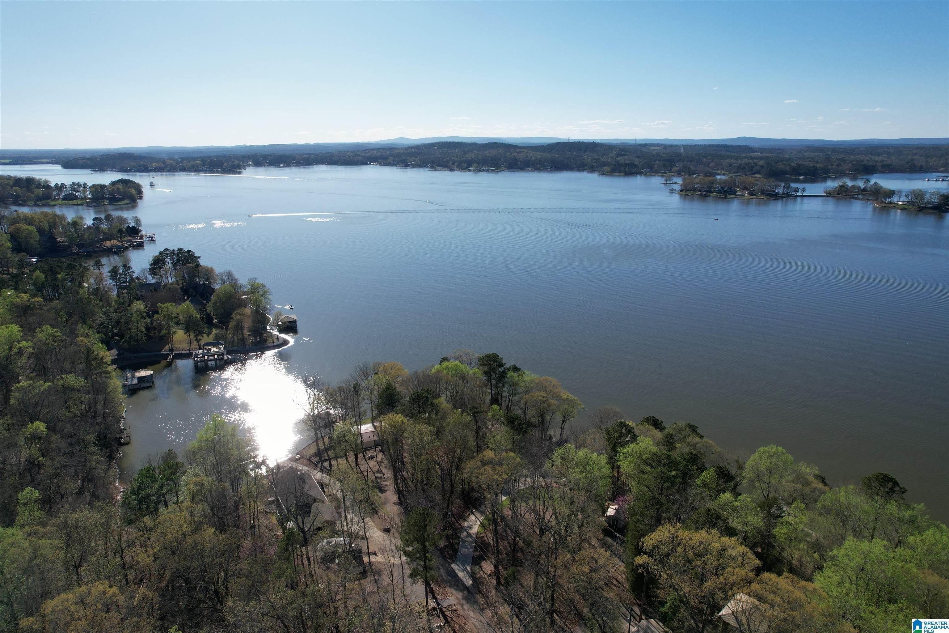 Alpine, Talladega County, AL Undeveloped Land, Lakefront Property