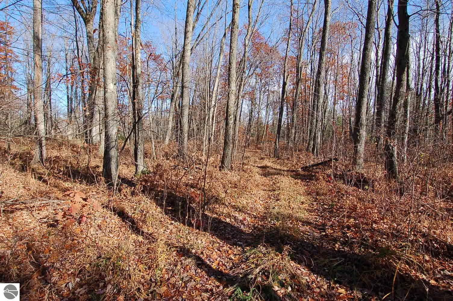 Falmouth, Missaukee County, MI Farms and Ranches for sale Property ID