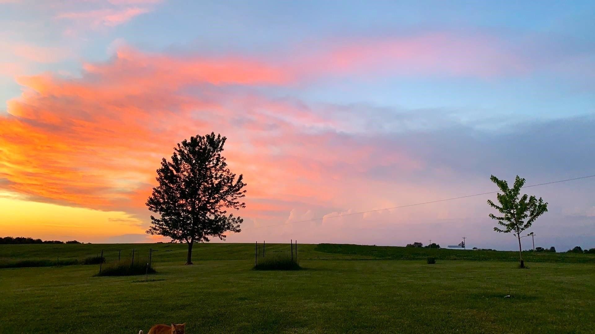 Norwalk, Monroe County, WI House for sale Property ID 416684584