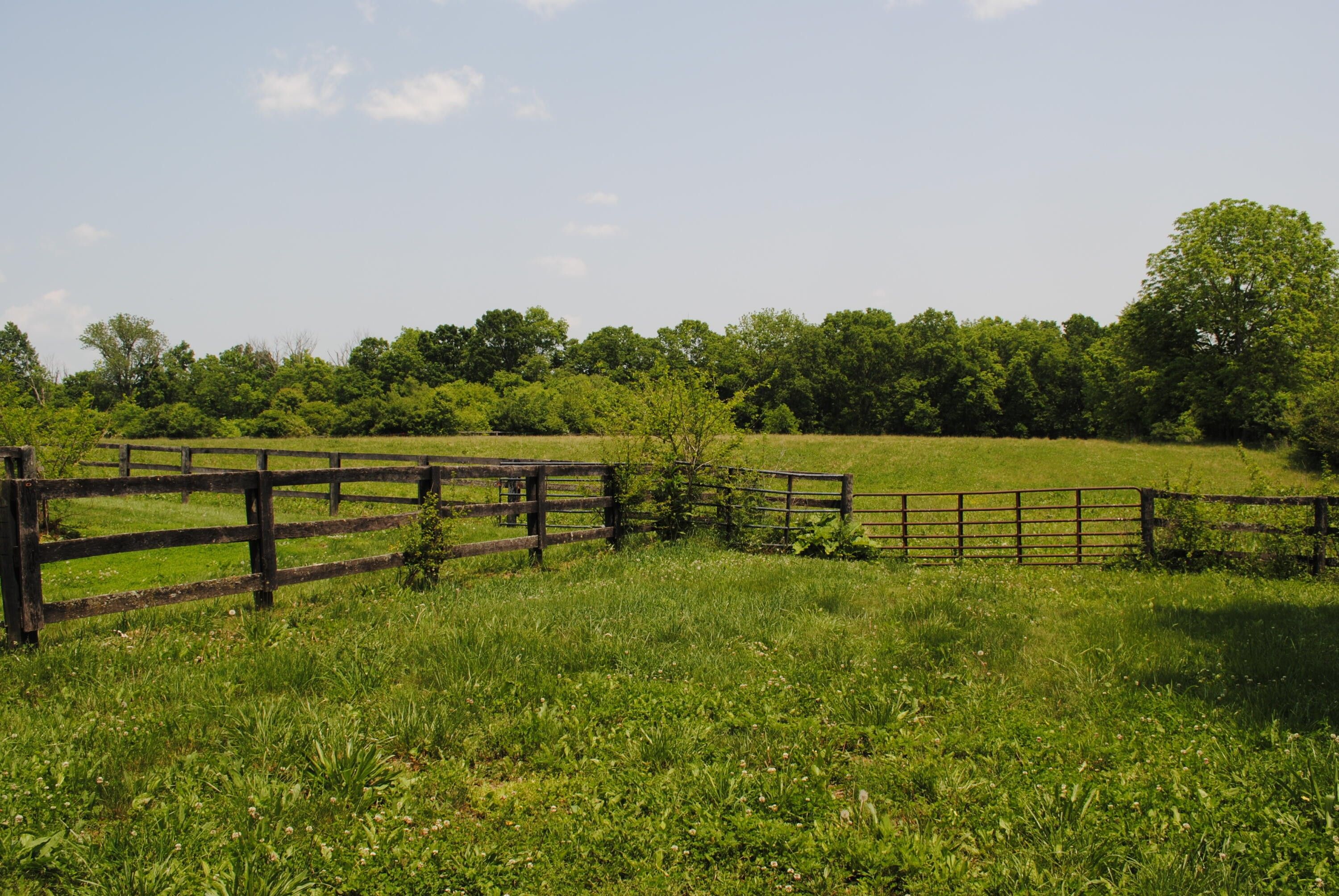 Paris, Bourbon County, KY Farms and Ranches for sale Property ID