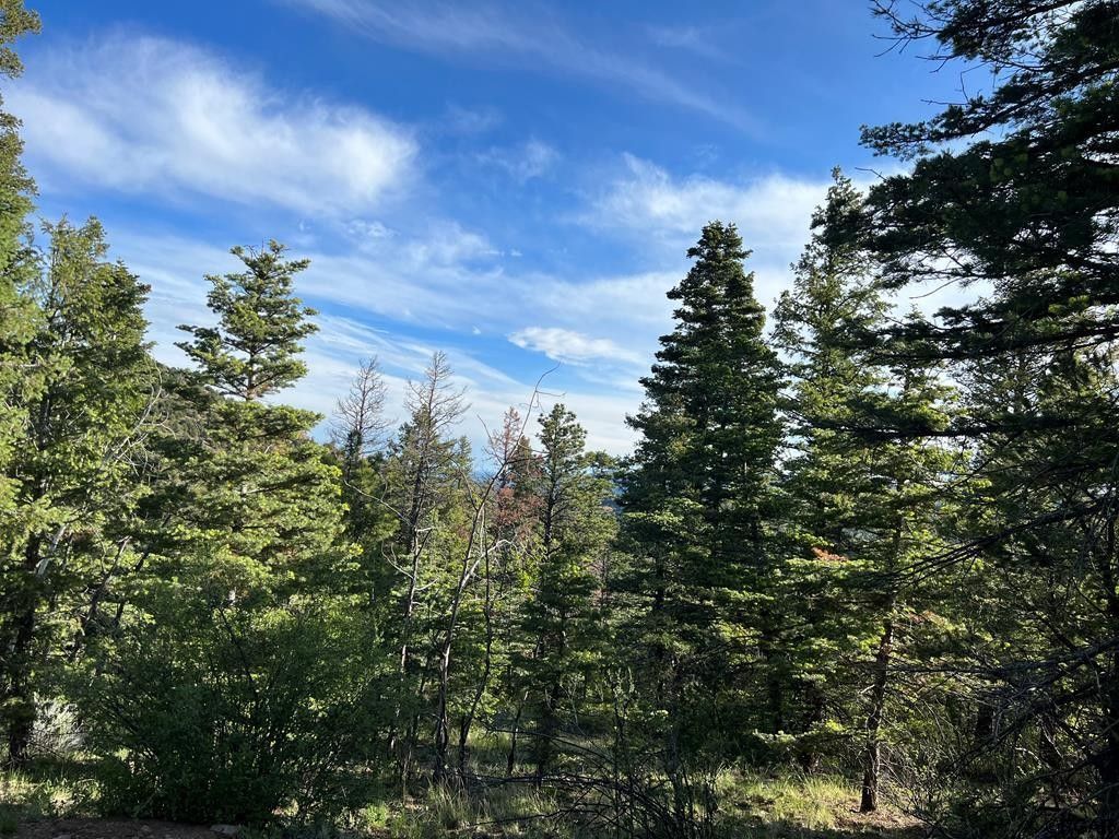 Westcliffe, Custer County, CO Undeveloped Land for sale Property ID