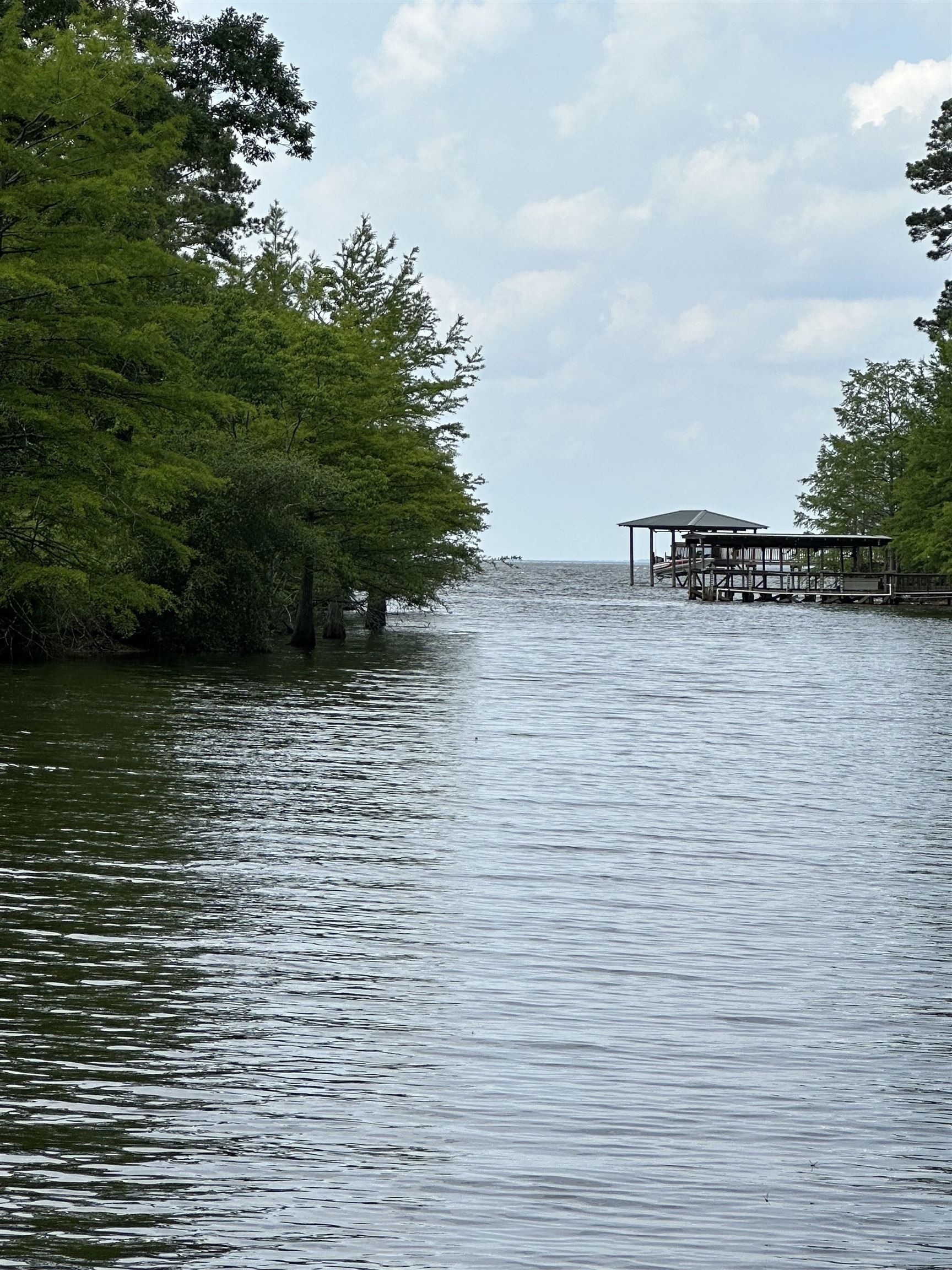 Hemphill, Sabine County, TX Farms and Ranches, Lakefront Property