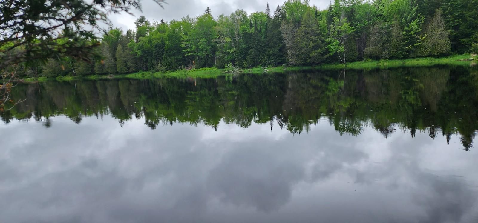 Haynes Road, Bancroft, ME 04497 MLS 1554466 LandWatch