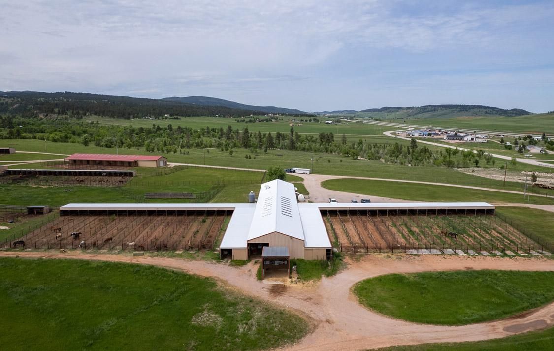 13175 High Plains Place, Piedmont, SD 57769 LandWatch