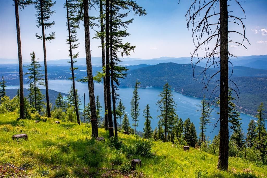 Whitefish, Flathead County, MT Farms and Ranches, Homesites for sale
