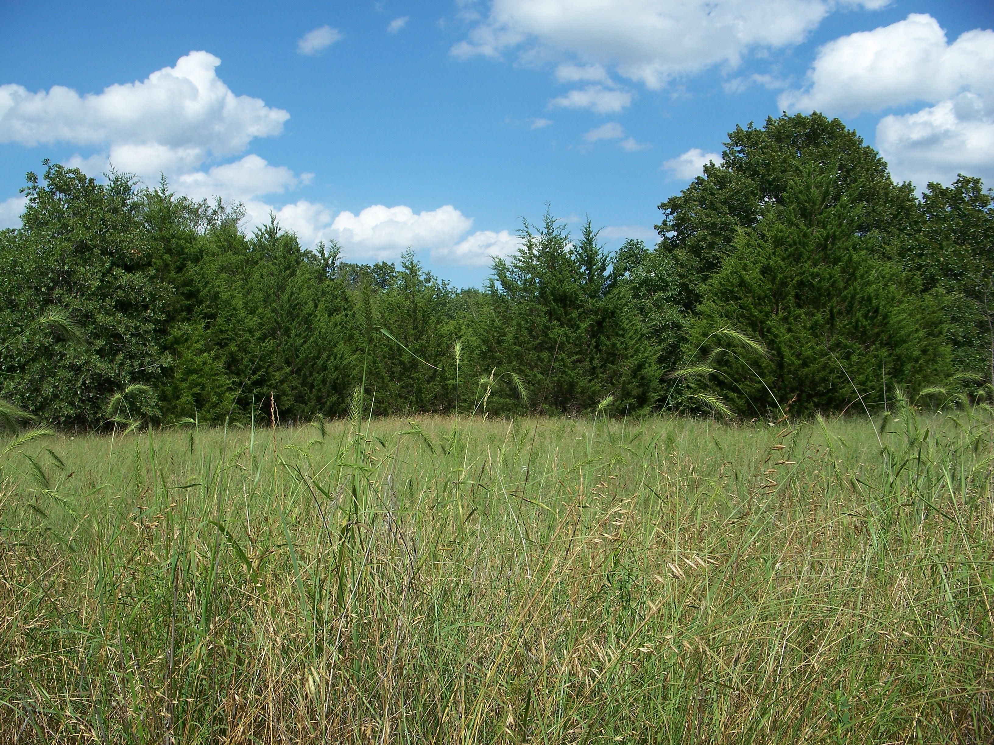 80 acres in Jennings, OK, 74038 LandWatch