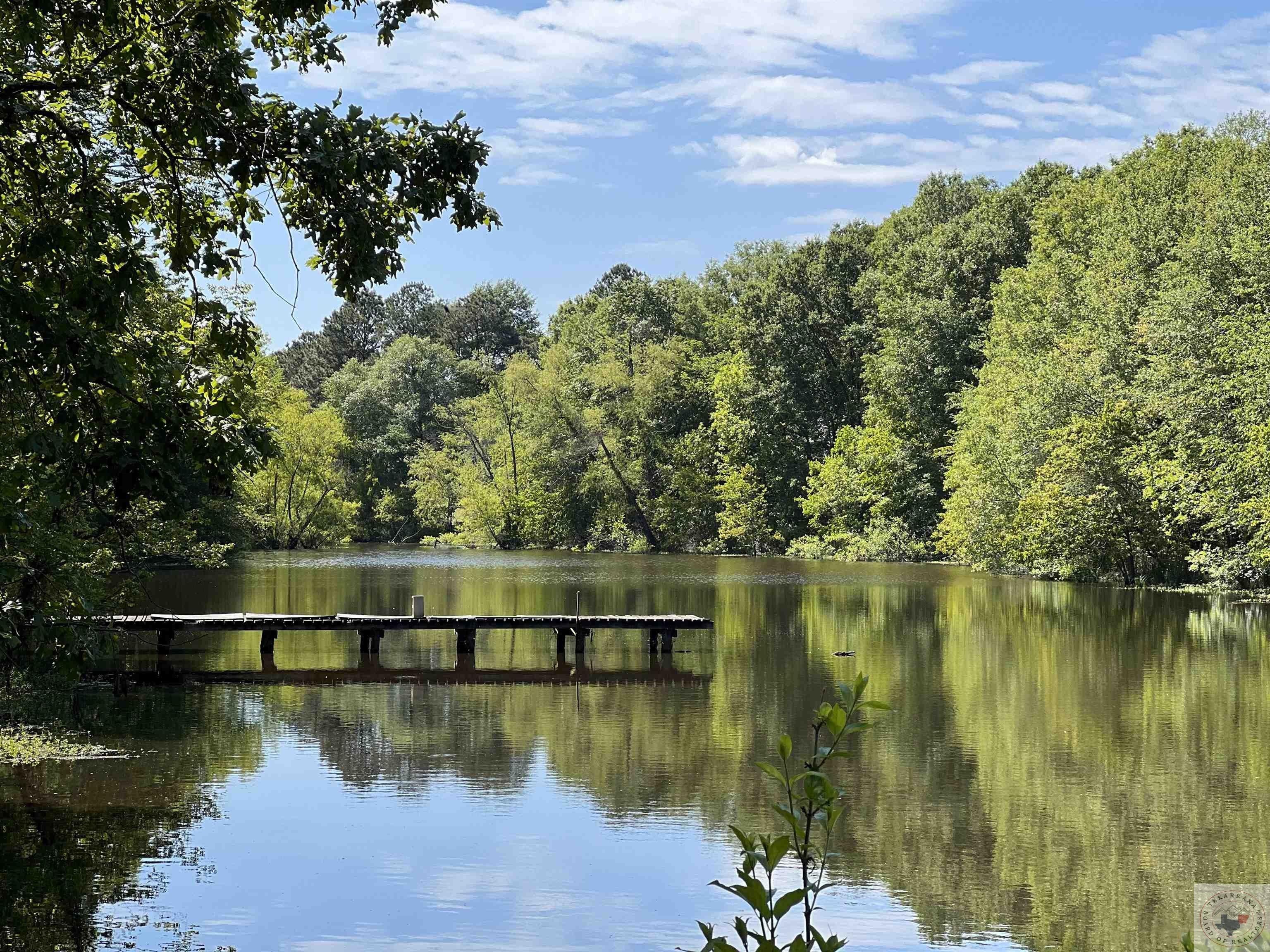 Hooks, Bowie County, TX Undeveloped Land for sale Property ID