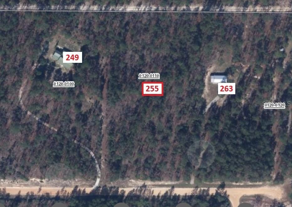 255 MELROSE LANDING DRIVE, Hawthorne, FL 32640 MLS T3451032 LandWatch