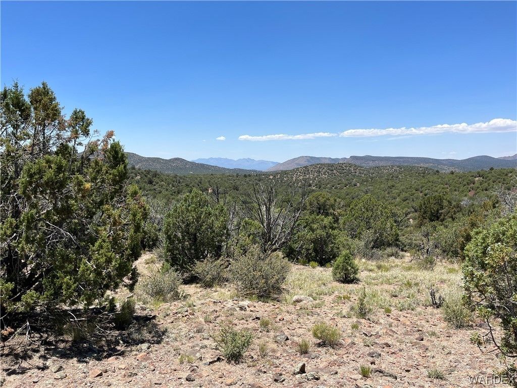 Kingman, Mohave County, AZ Farms and Ranches for sale Property ID