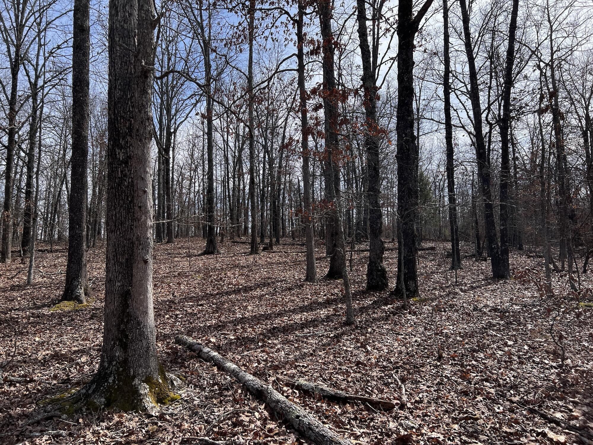 Caulfield, Howell County, MO Undeveloped Land for sale Property ID