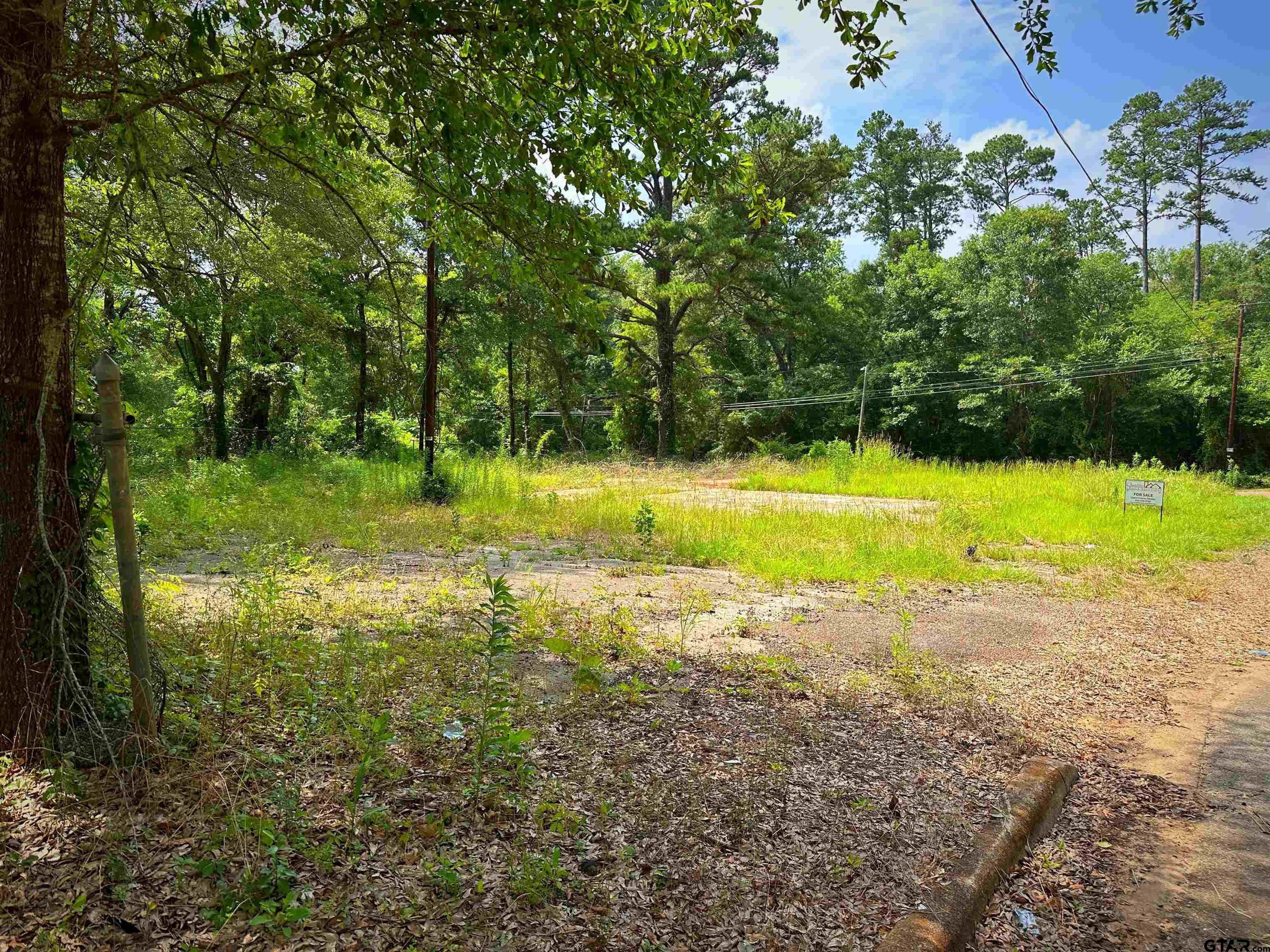 Rusk, Cherokee County, TX Undeveloped Land, Homesites for sale Property
