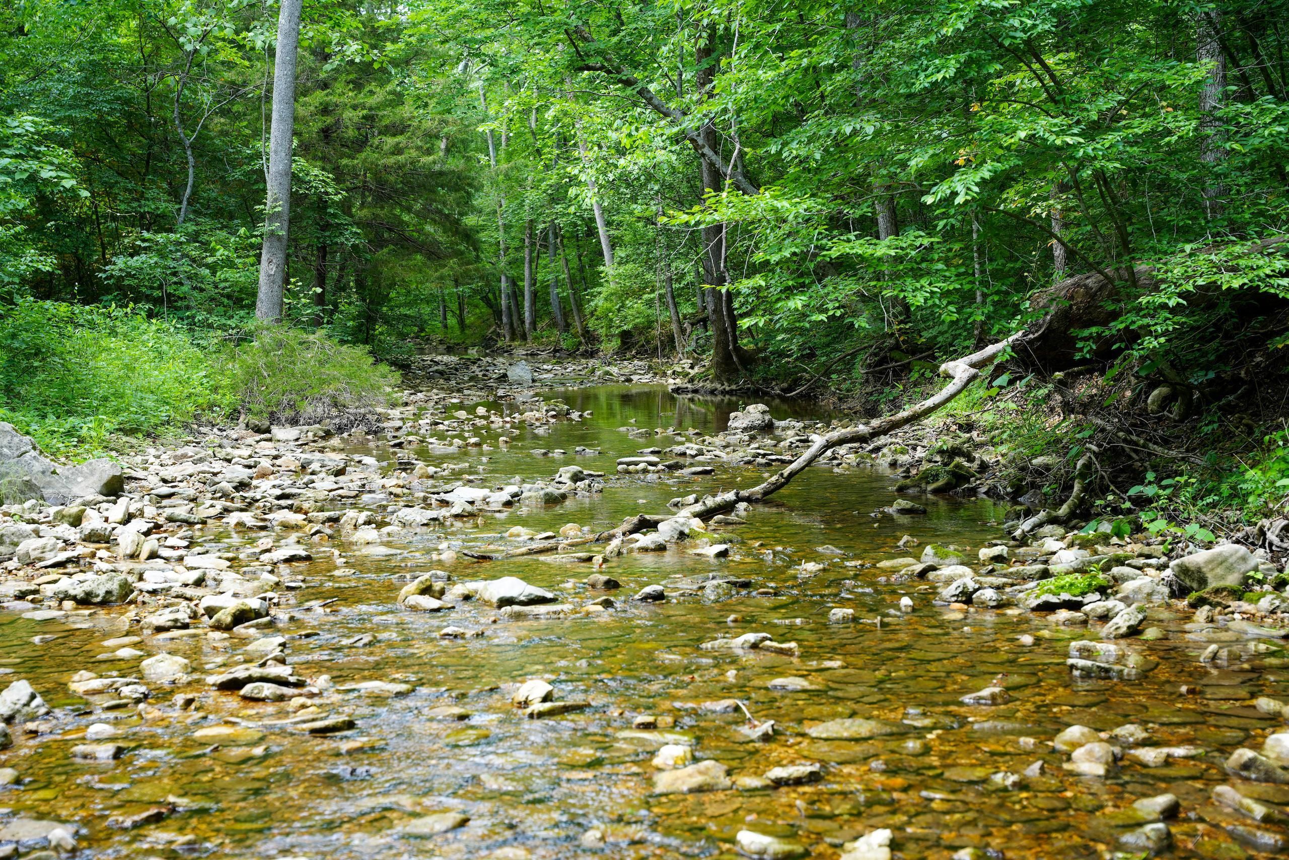 Branson West, Stone County, MO Farms and Ranches, Timberland Property