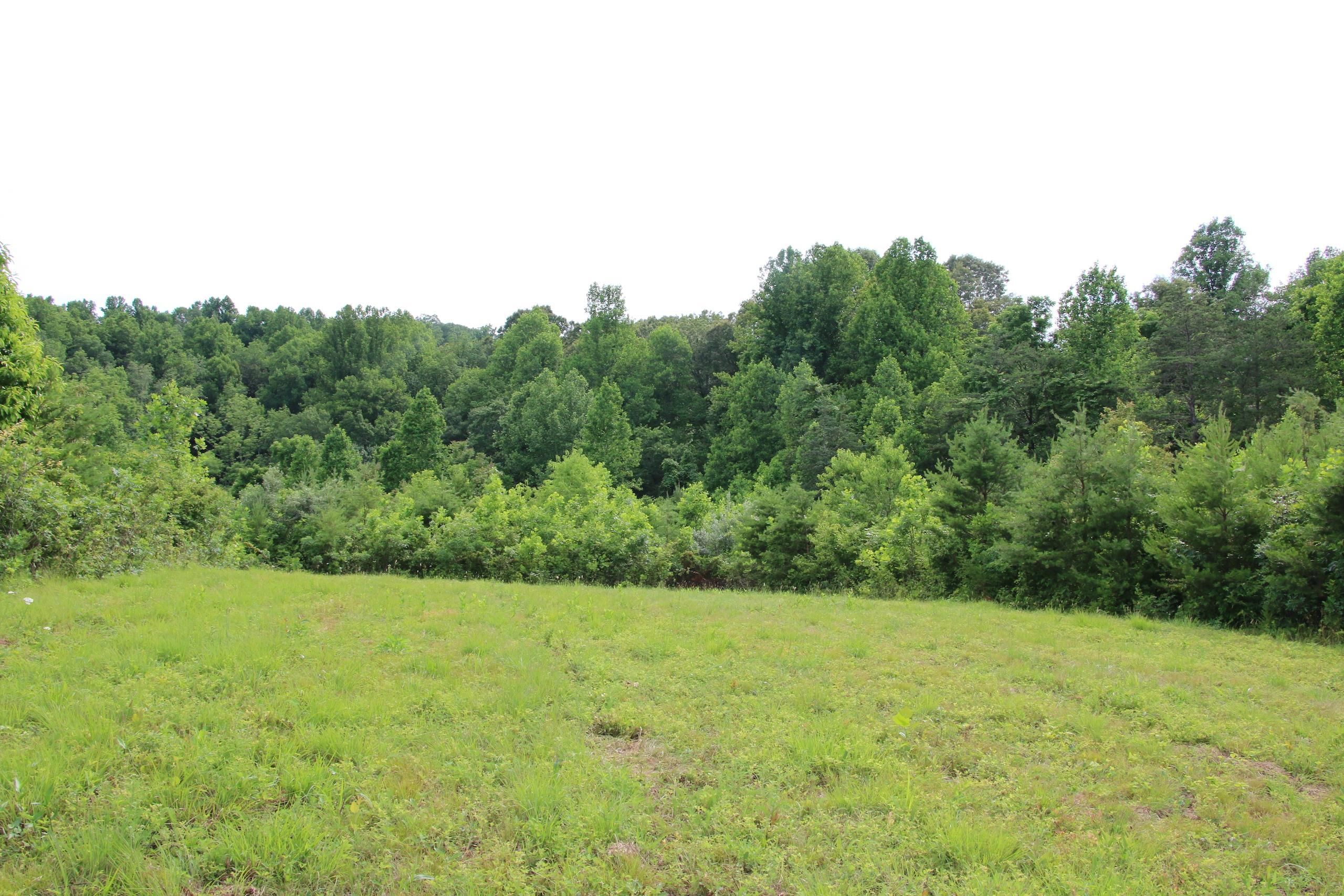 Dutch Creek Lane, LotWP001, Shipman, VA 22971 LandWatch