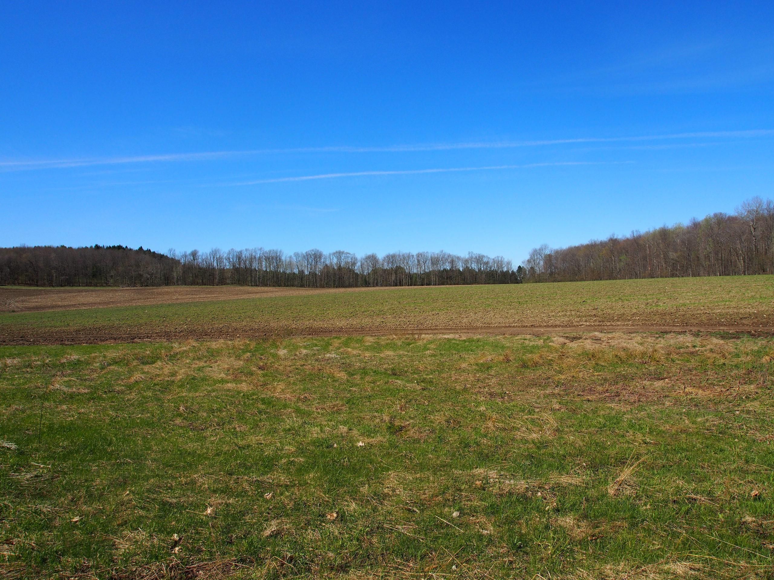 Nanticoke, Broome County, NY Recreational Property, Timberland Property