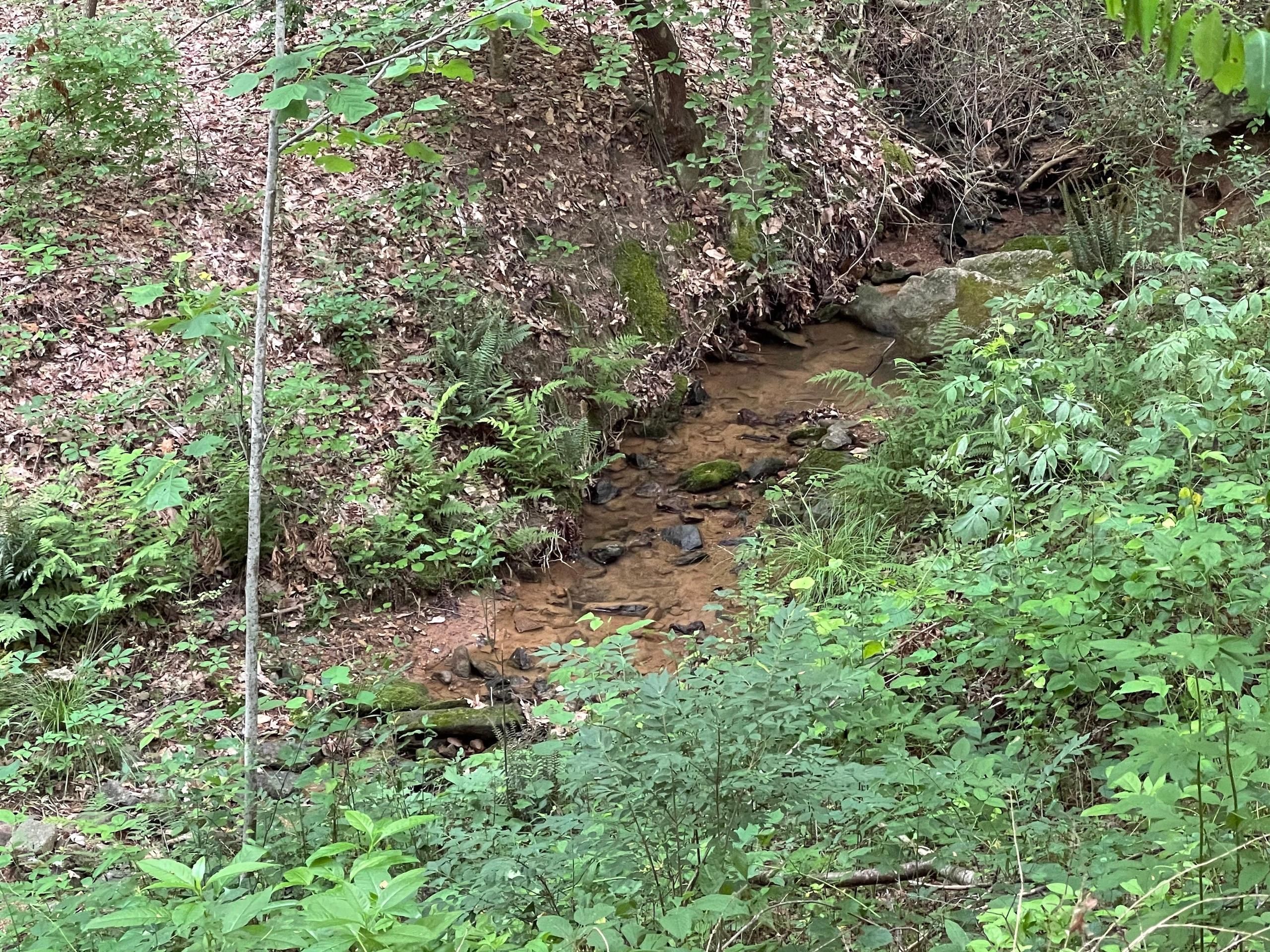 Hildebran, Burke County, NC Recreational Property, Timberland Property