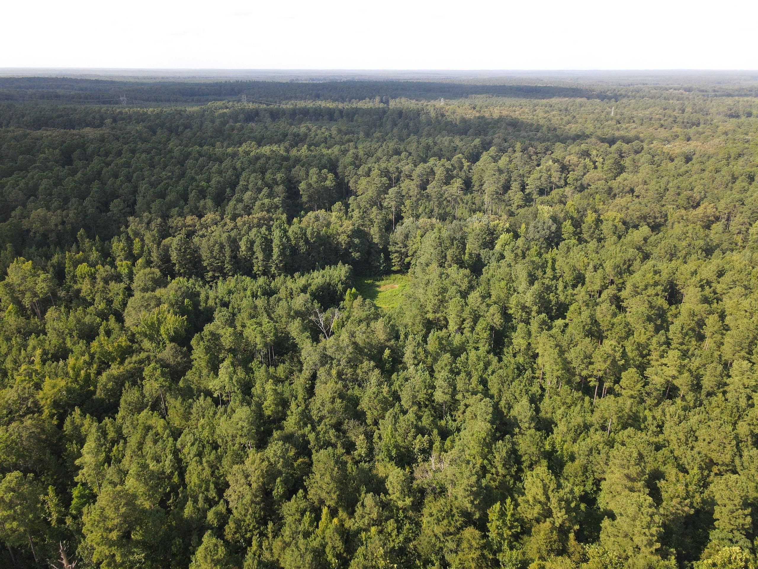 Mount Holly, Union County, AR Recreational Property, Timberland