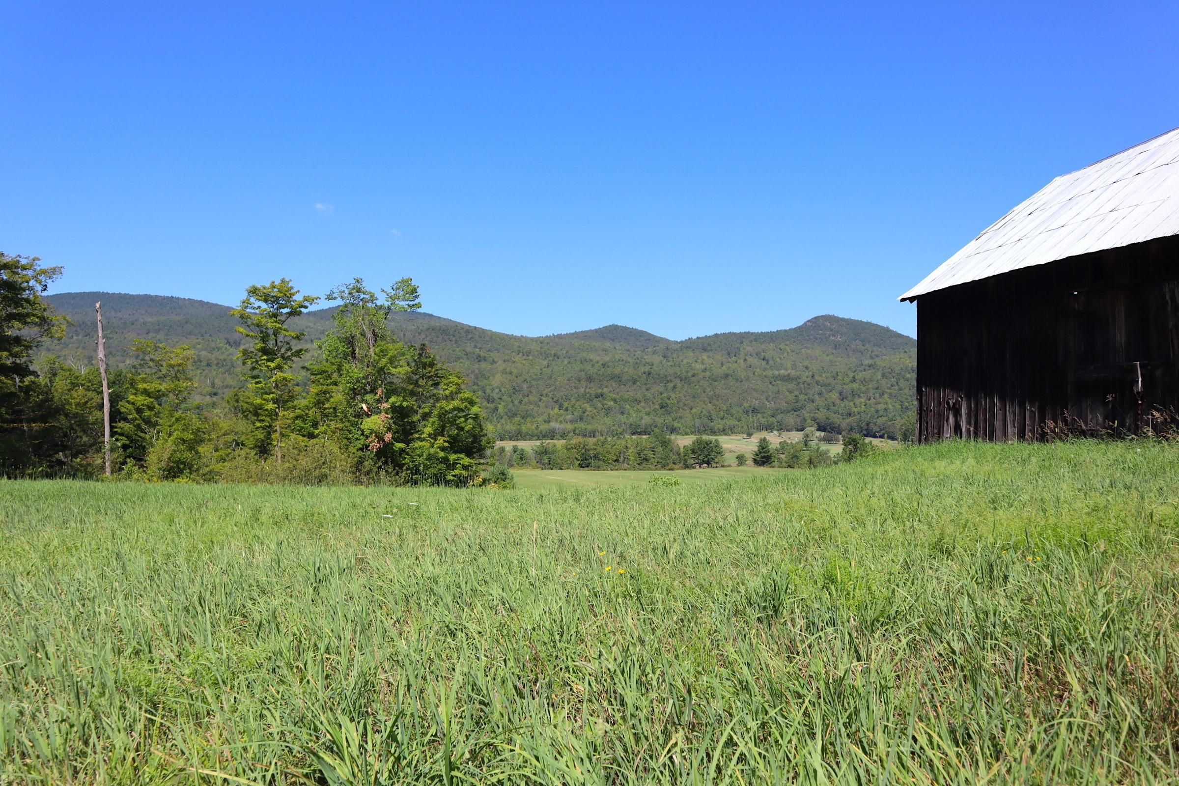 Ticonderoga, Essex County, NY Recreational Property, Timberland