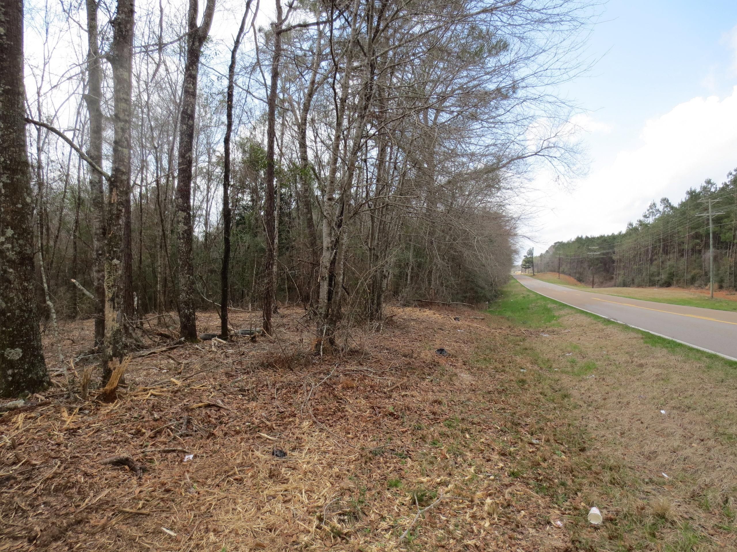 Sandy Hook, Walthall County, MS Recreational Property, Timberland
