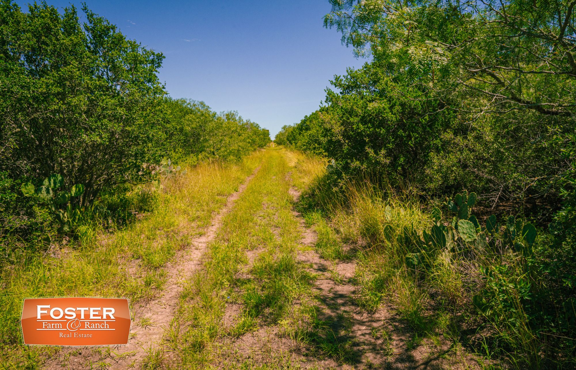 Benavides, Duval County, TX Farms and Ranches, Recreational Property