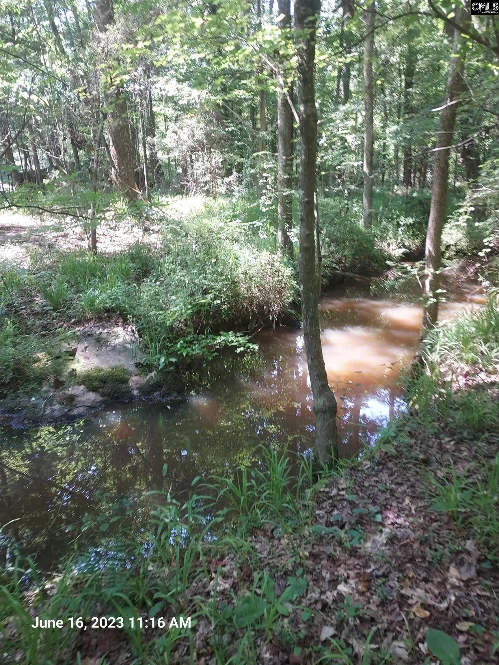 Chapin, Lexington County, SC Farms and Ranches, Lakefront Property