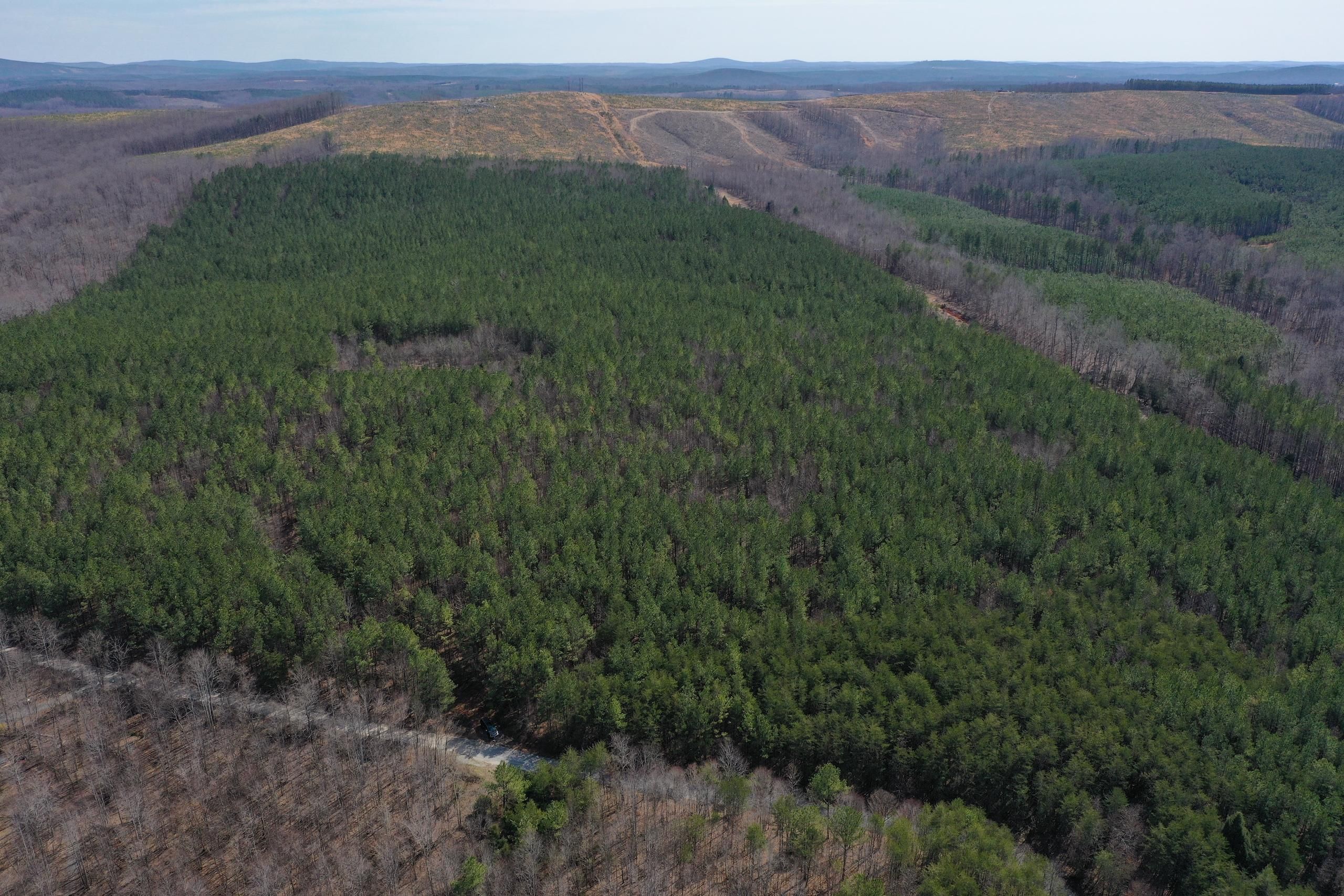 Gladstone, Nelson County, VA Recreational Property, Timberland Property, Hunting Property for