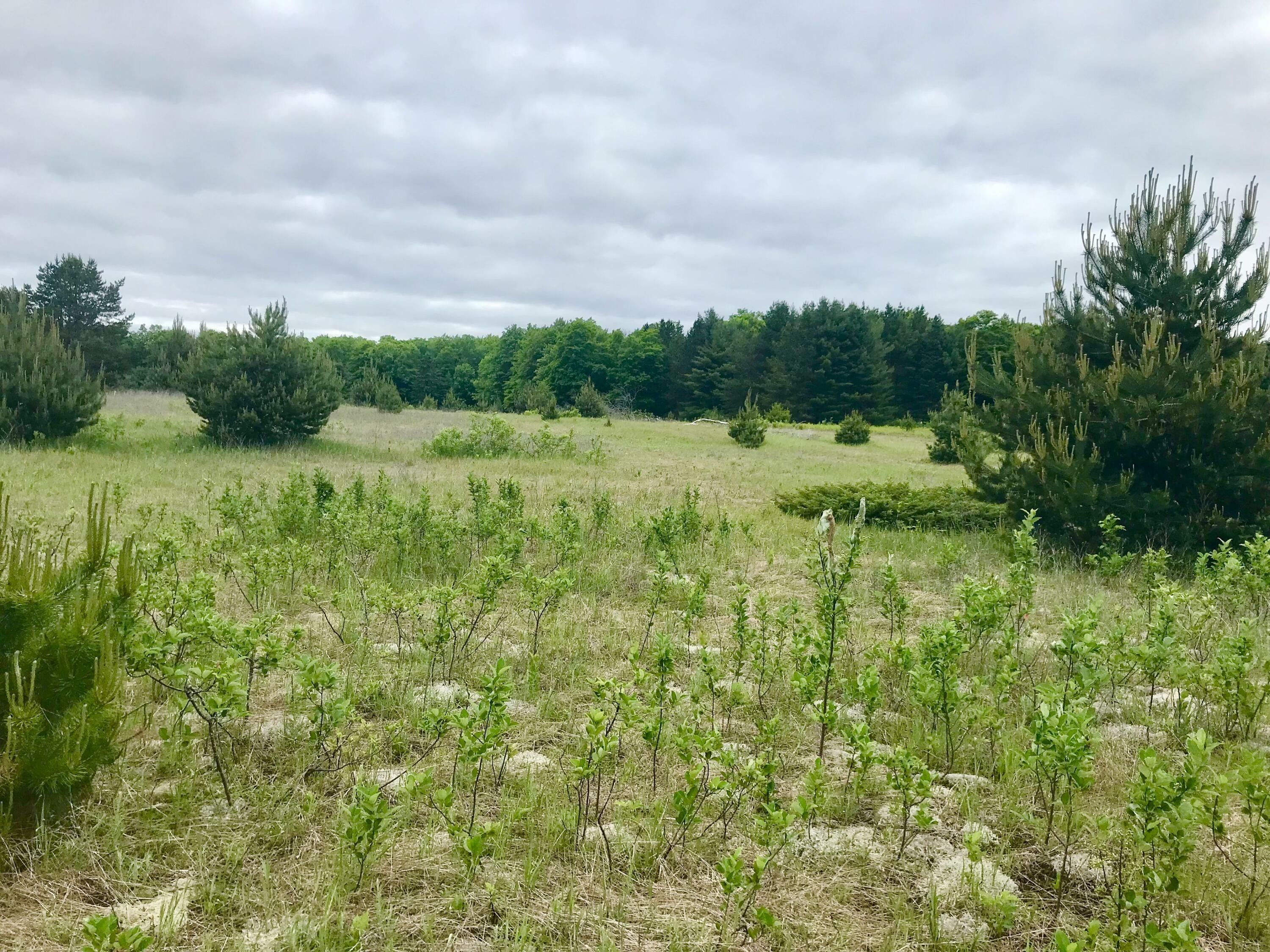 De Tour Village, Chippewa County, MI Farms and Ranches for sale