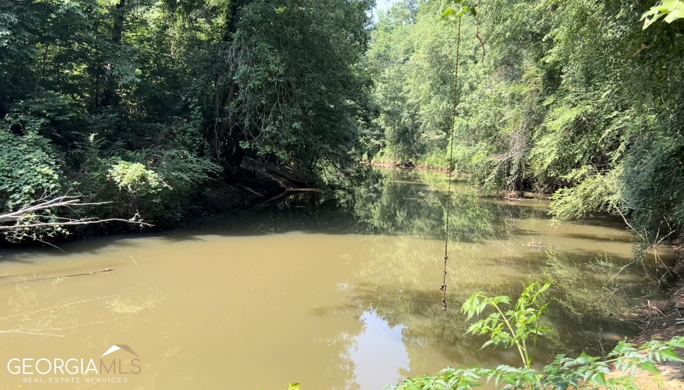 Lizella, Crawford County, GA Farms and Ranches for sale Property ID