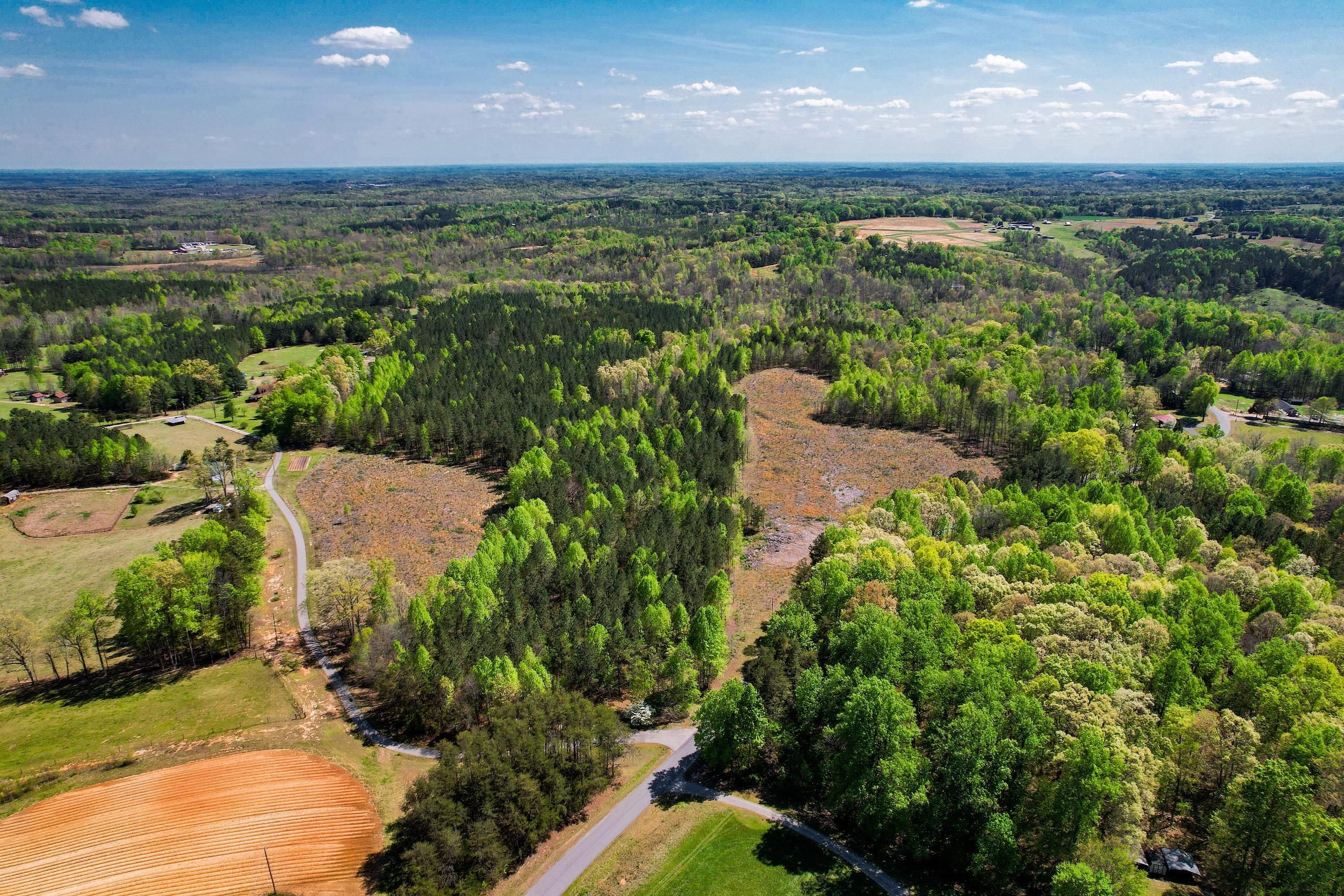 Ringgold, Pittsylvania County, VA Recreational Property, Timberland