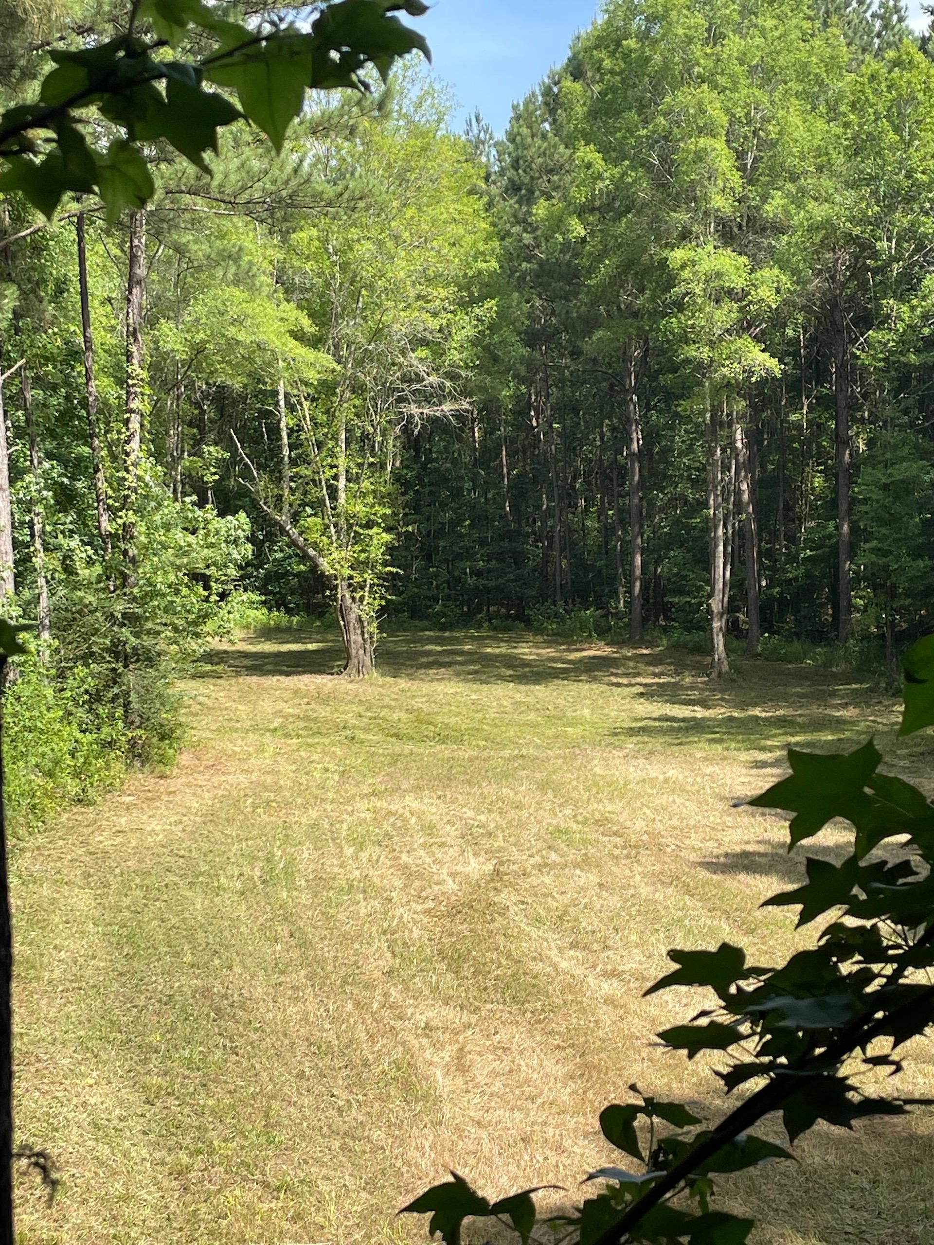 Shubuta, Clarke County, MS Recreational Property, Timberland Property
