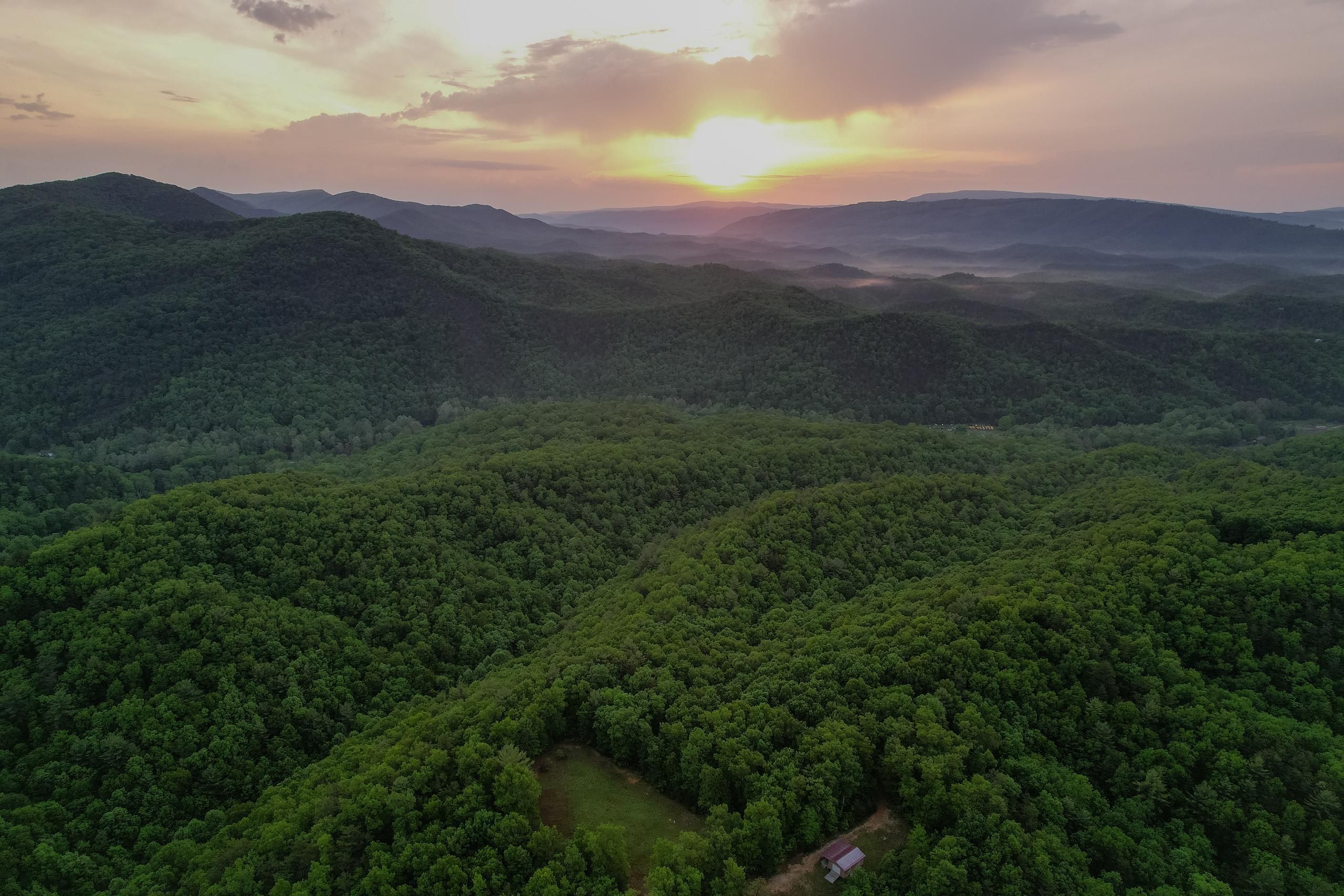 Covington, Alleghany County, VA Recreational Property, Timberland
