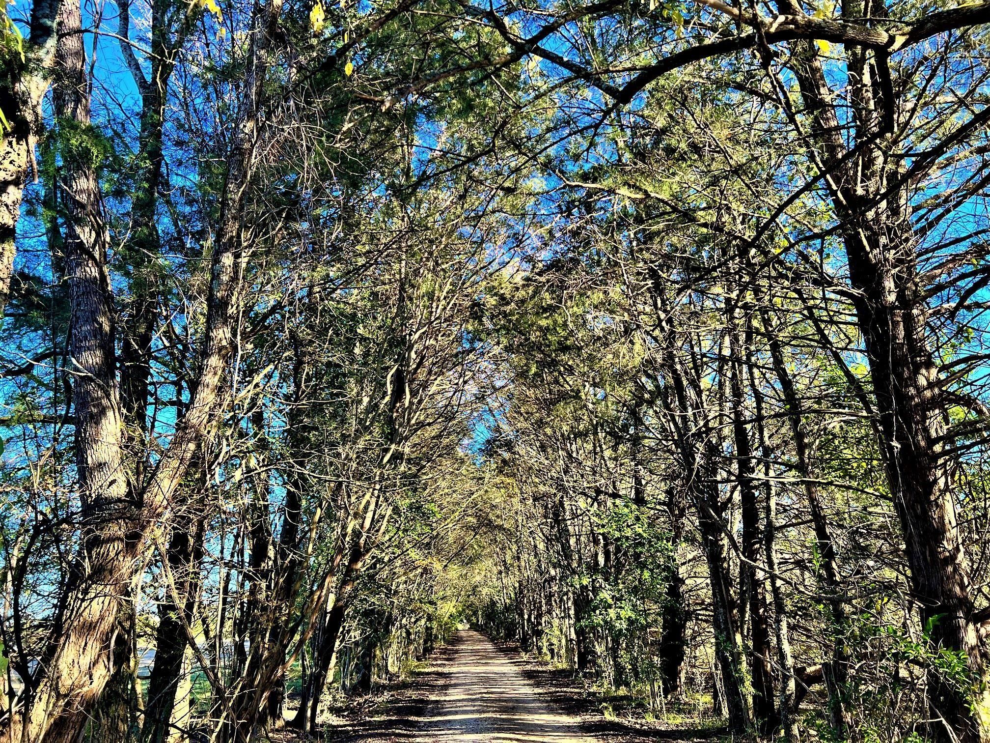 Montgomery, Montgomery County, AL Farms and Ranches for sale Property