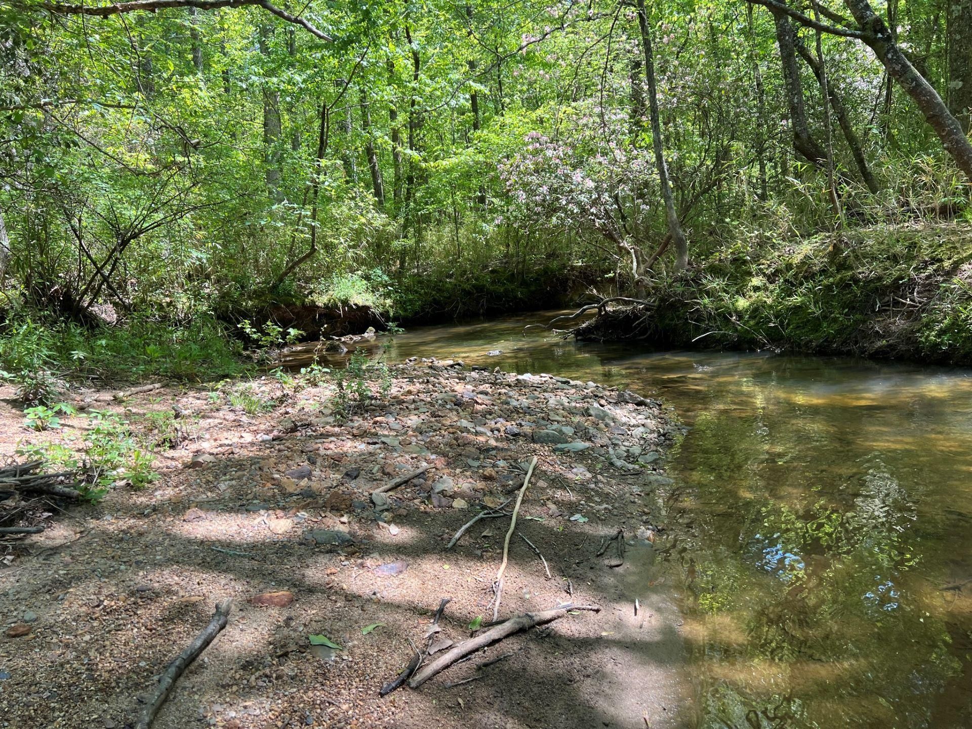 Cragford, Clay County, AL Timberland Property, Hunting Property for sale Property ID 416566857
