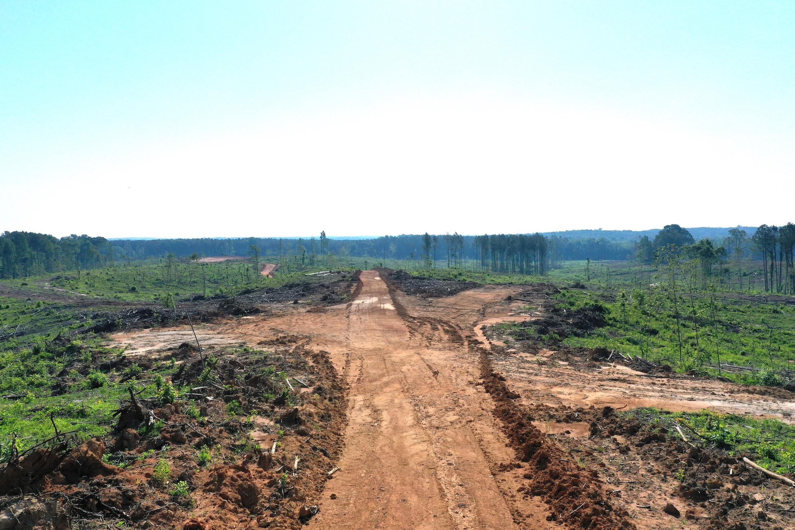 Green Road, LotWP001, Kilmichael, MS 39747 LandWatch