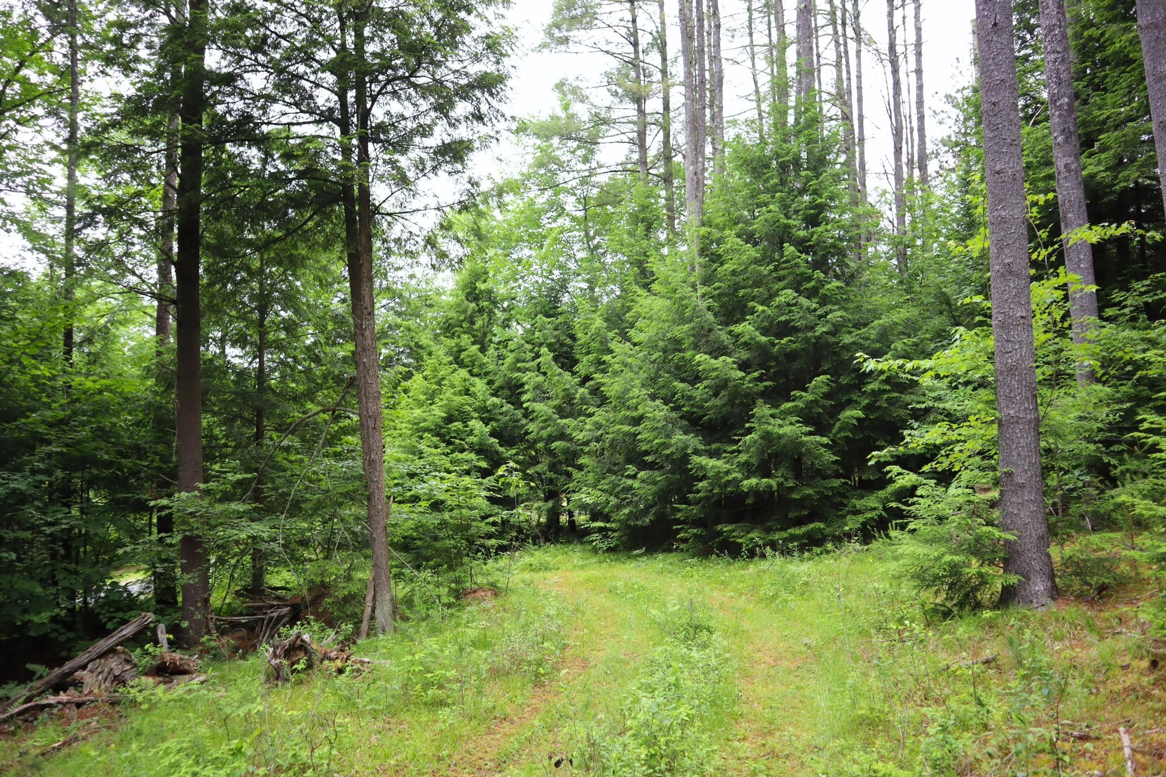Schroon River Road, LotWP001, Bolton, NY 12885 LandWatch