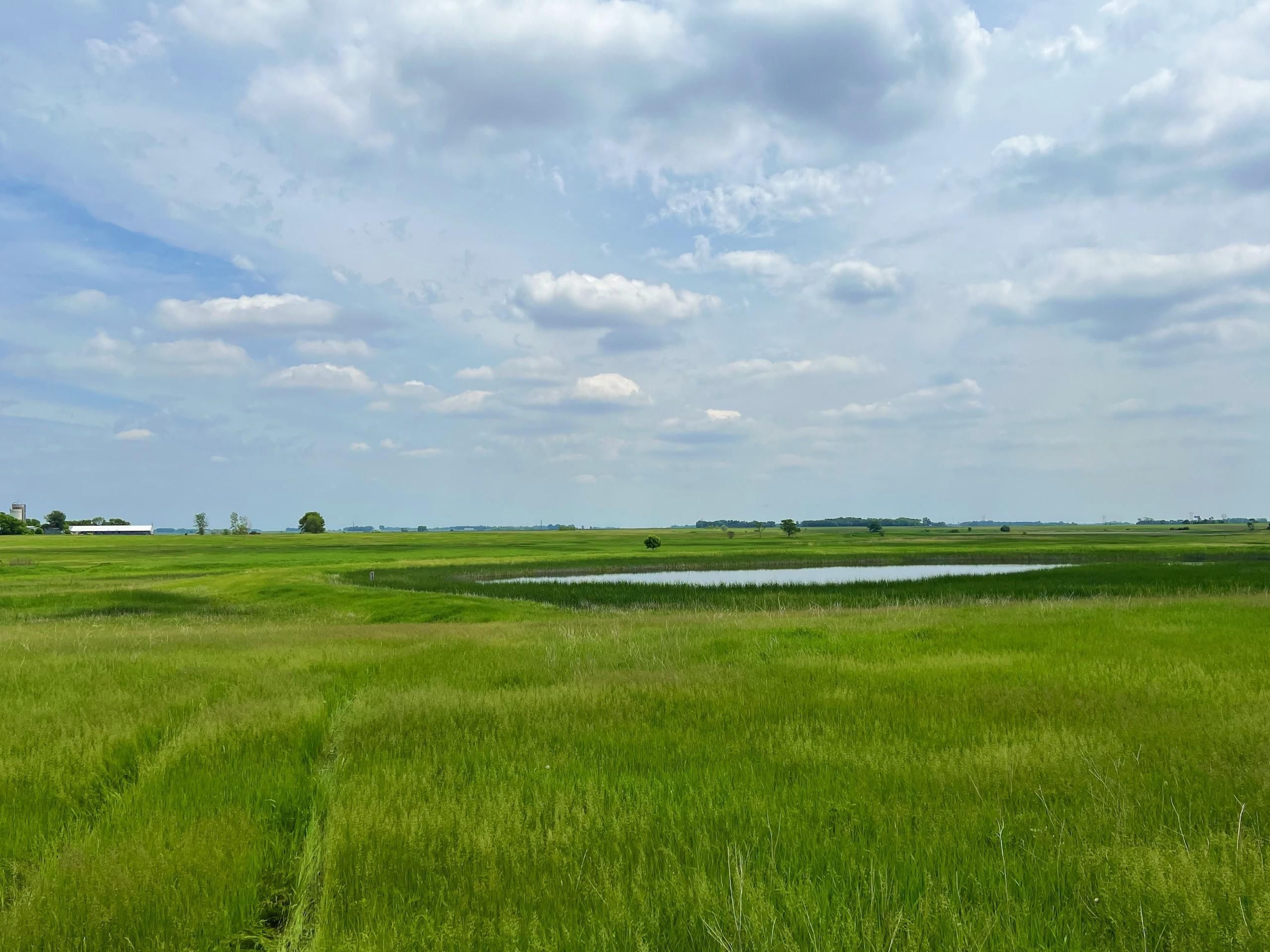 Donnelly, Stevens County, MN Recreational Property, Hunting Property