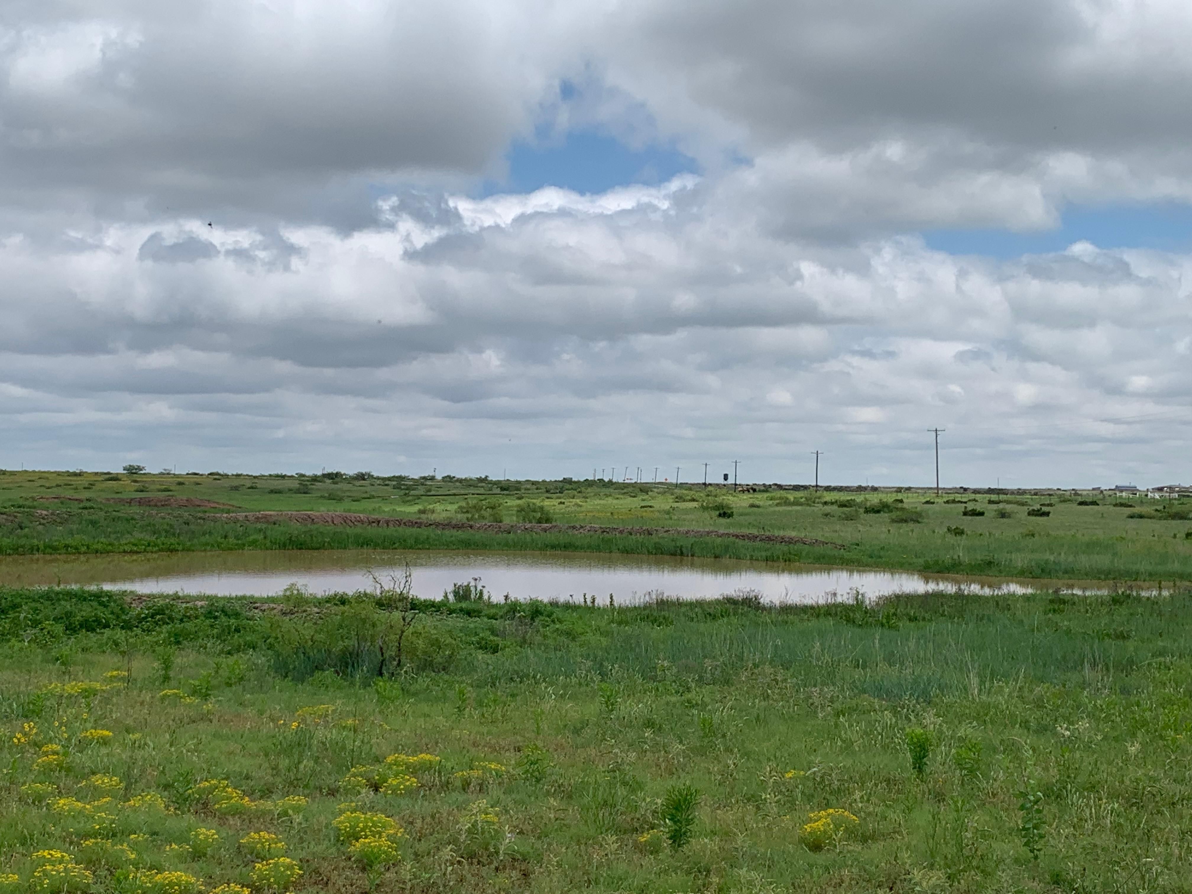 Quitaque, Briscoe County, TX Farms and Ranches, Recreational Property