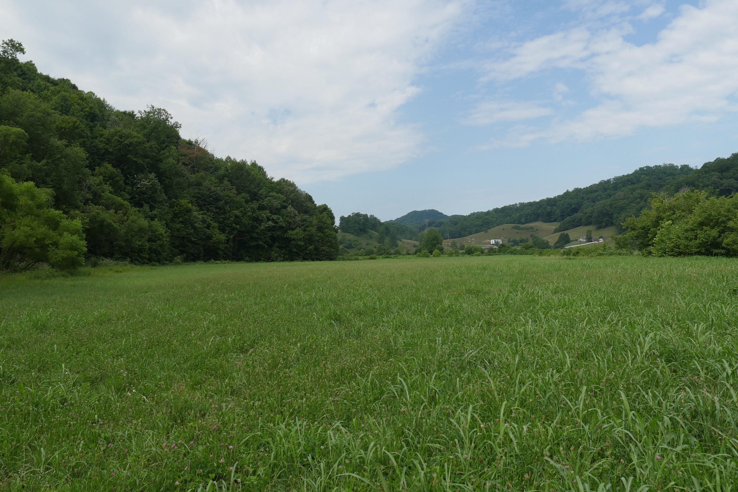 Blackwater, Scott County, VA Recreational Property, Timberland Property