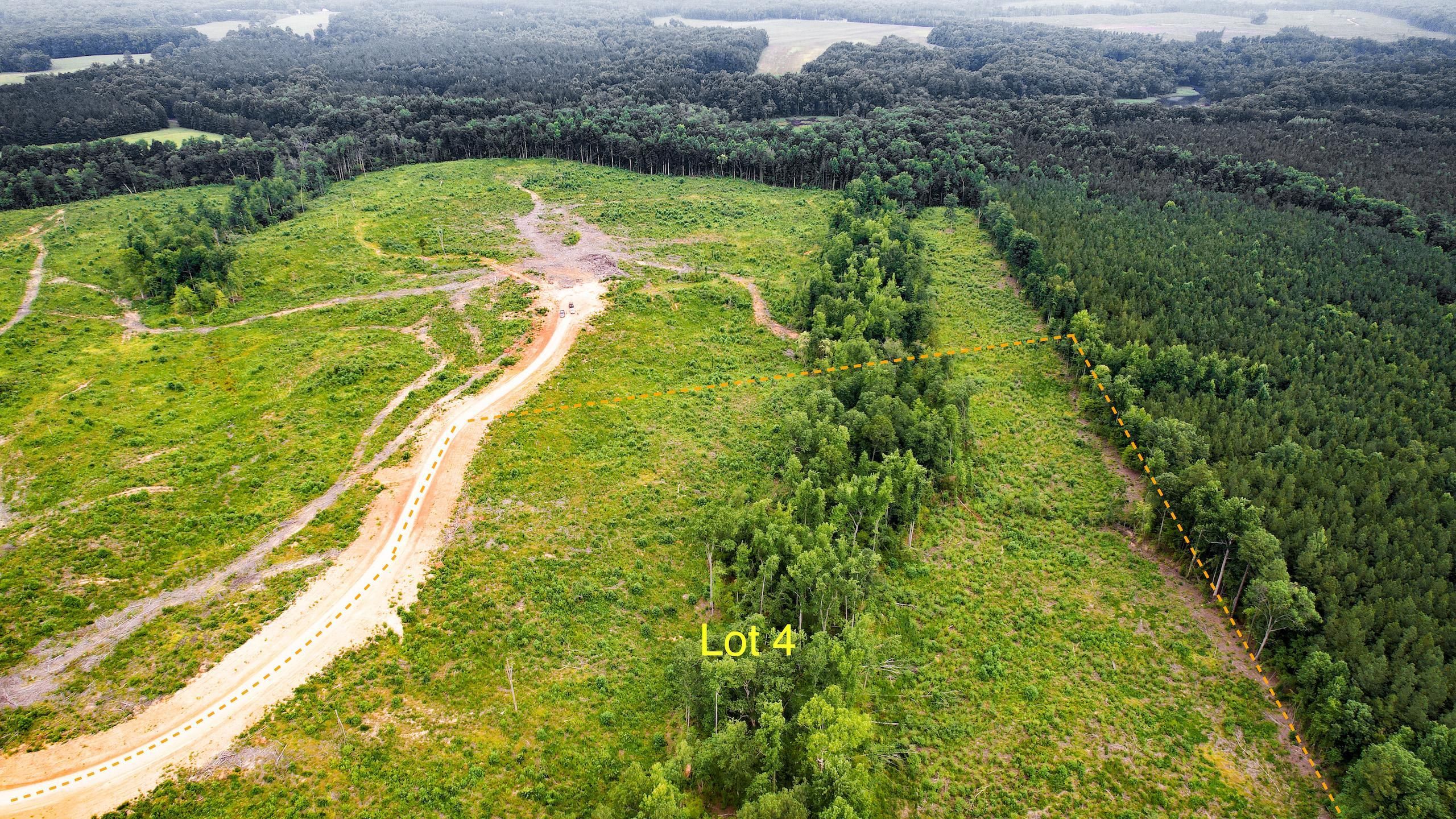 Wilsons, Dinwiddie County, VA Recreational Property, Timberland