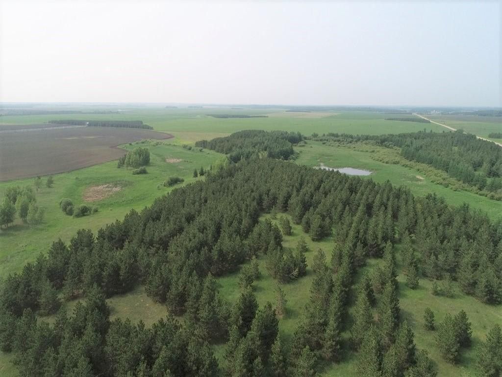 Ponsford, Becker County, MN Farms and Ranches for sale Property ID