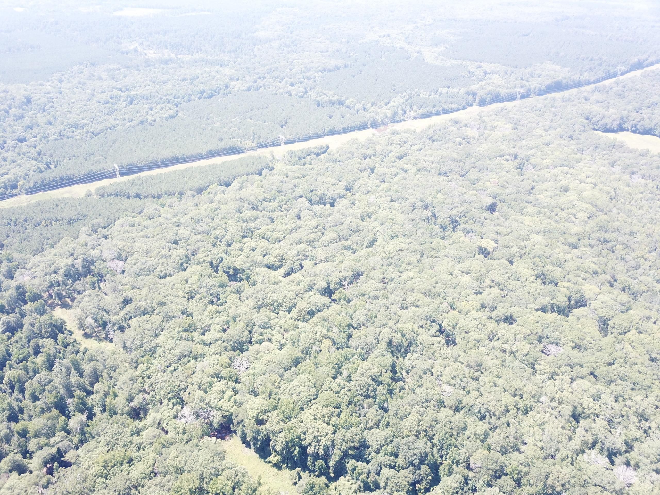 Spearsville, Union Parish, LA Recreational Property, Timberland