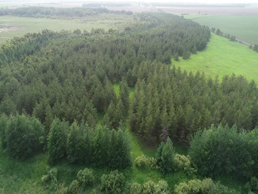 Xxx 490th Avenue, Ponsford, MN 56575 MLS 6388763 LandWatch