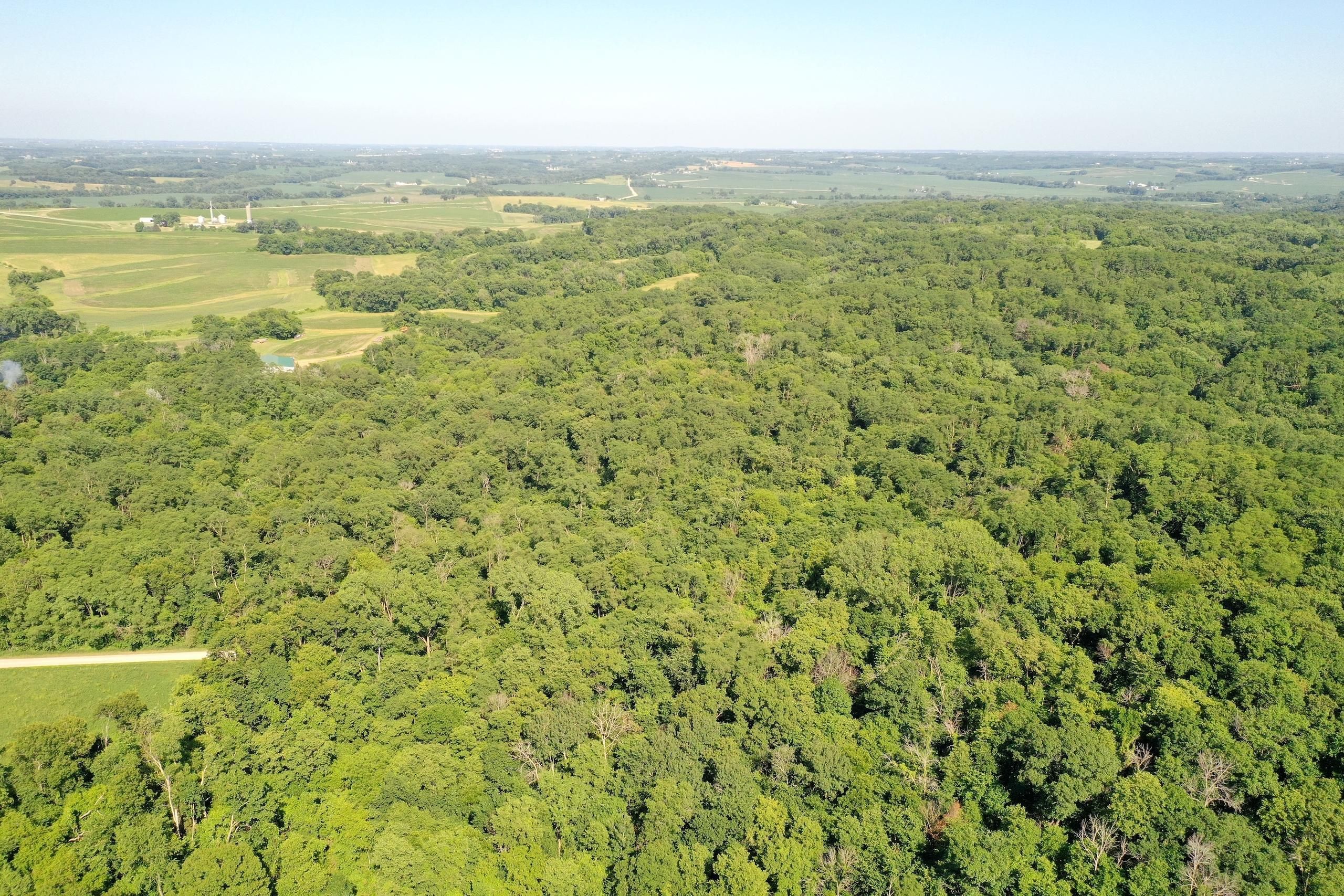 Savanna, Carroll County, IL Recreational Property, Timberland Property