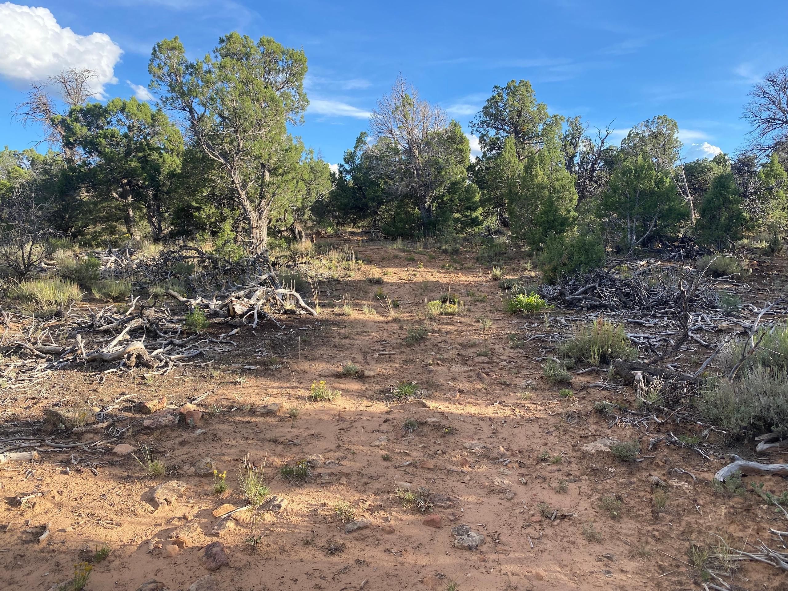 Montrose, Ouray County, CO Farms and Ranches, Hunting Property for sale