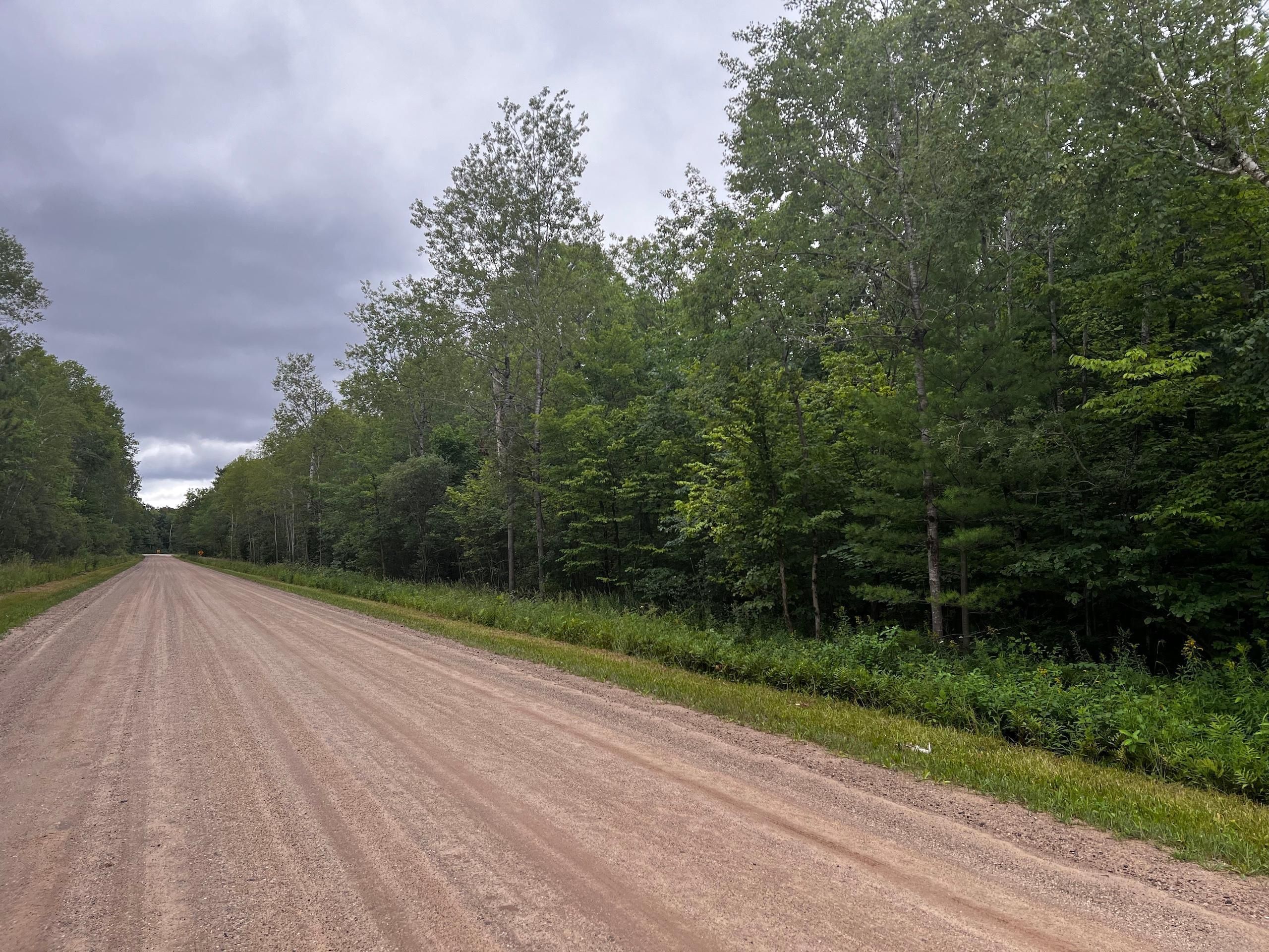Wellston, Manistee County, MI Recreational Property, Timberland