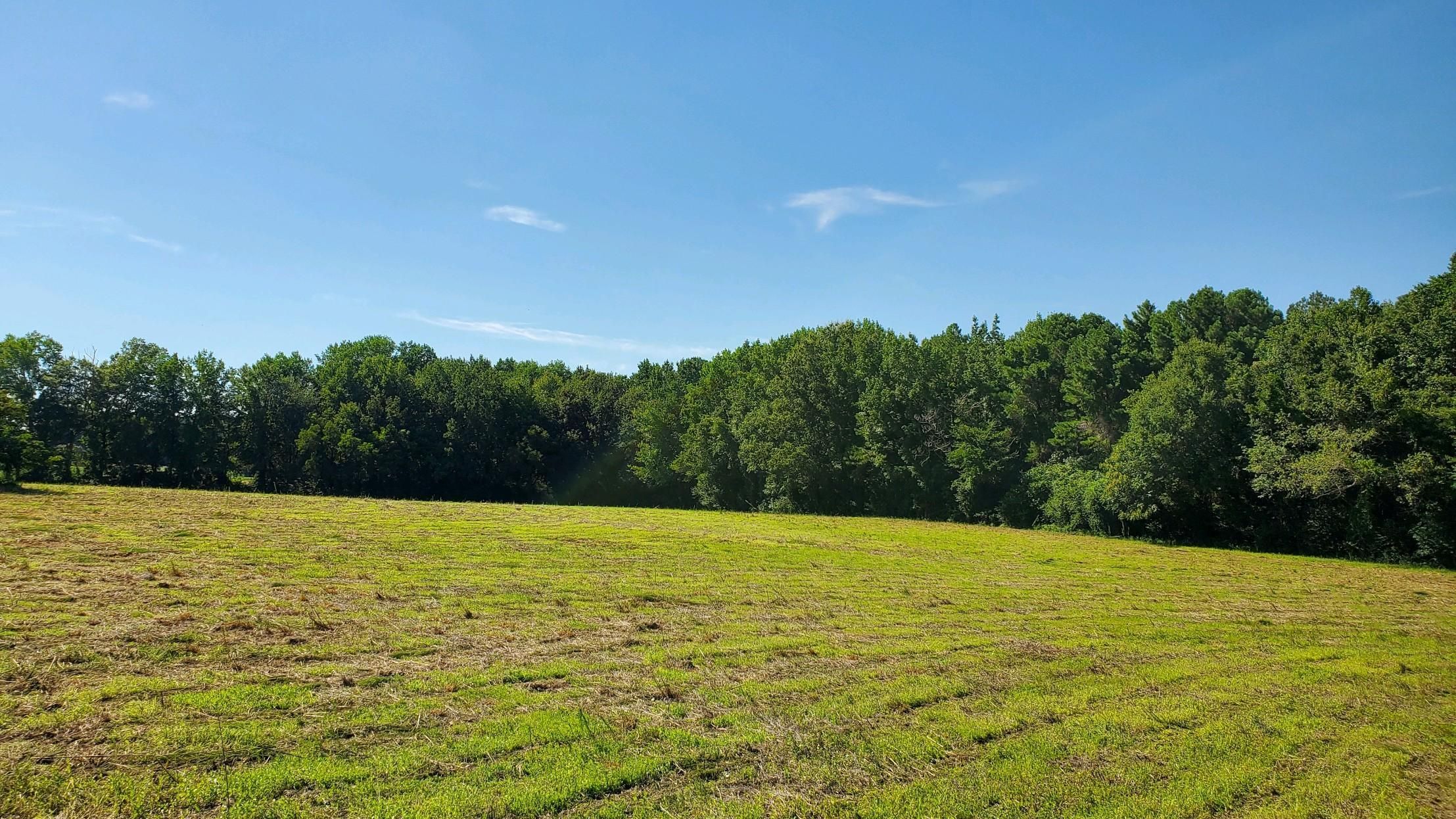 Lucama, Wilson County, NC Recreational Property, Timberland Property