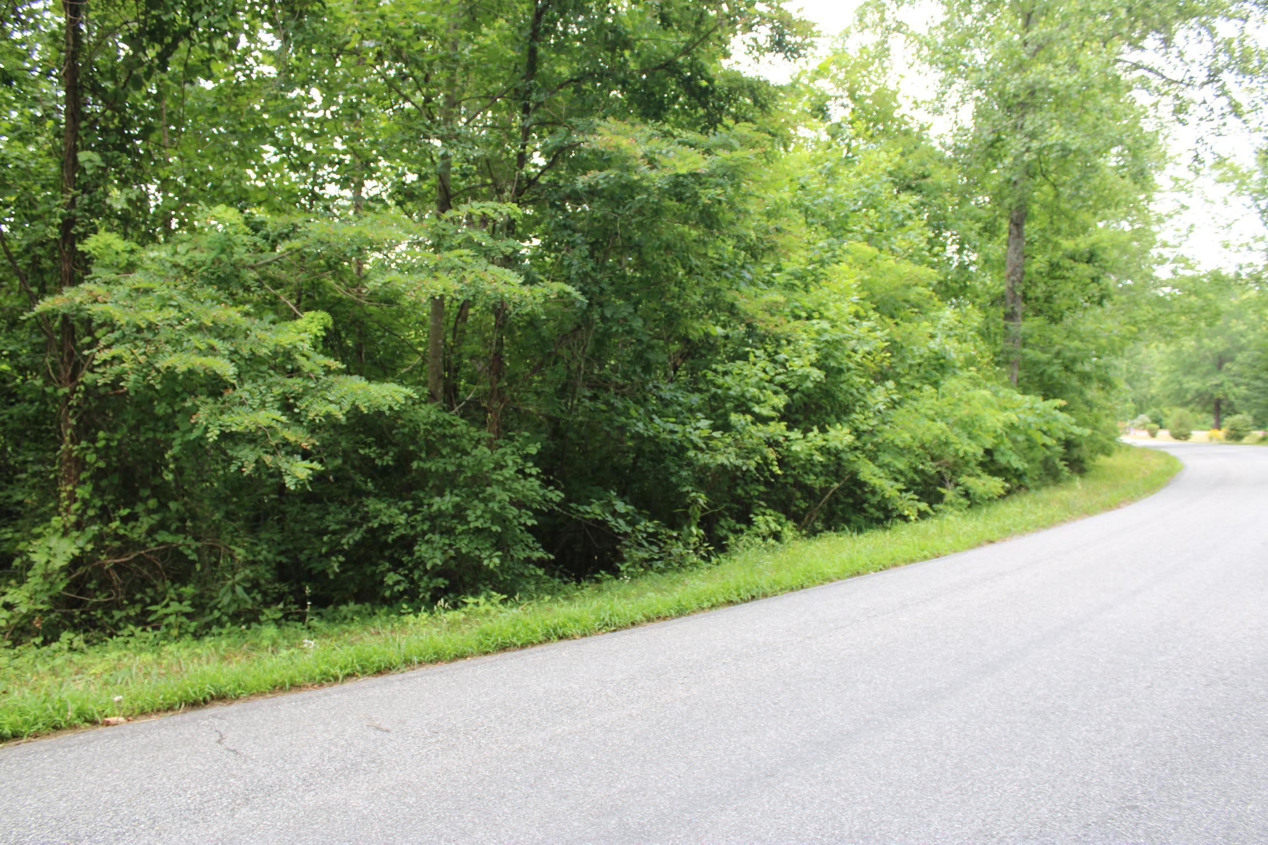 Patrick Springs, Patrick County, VA Recreational Property, Timberland