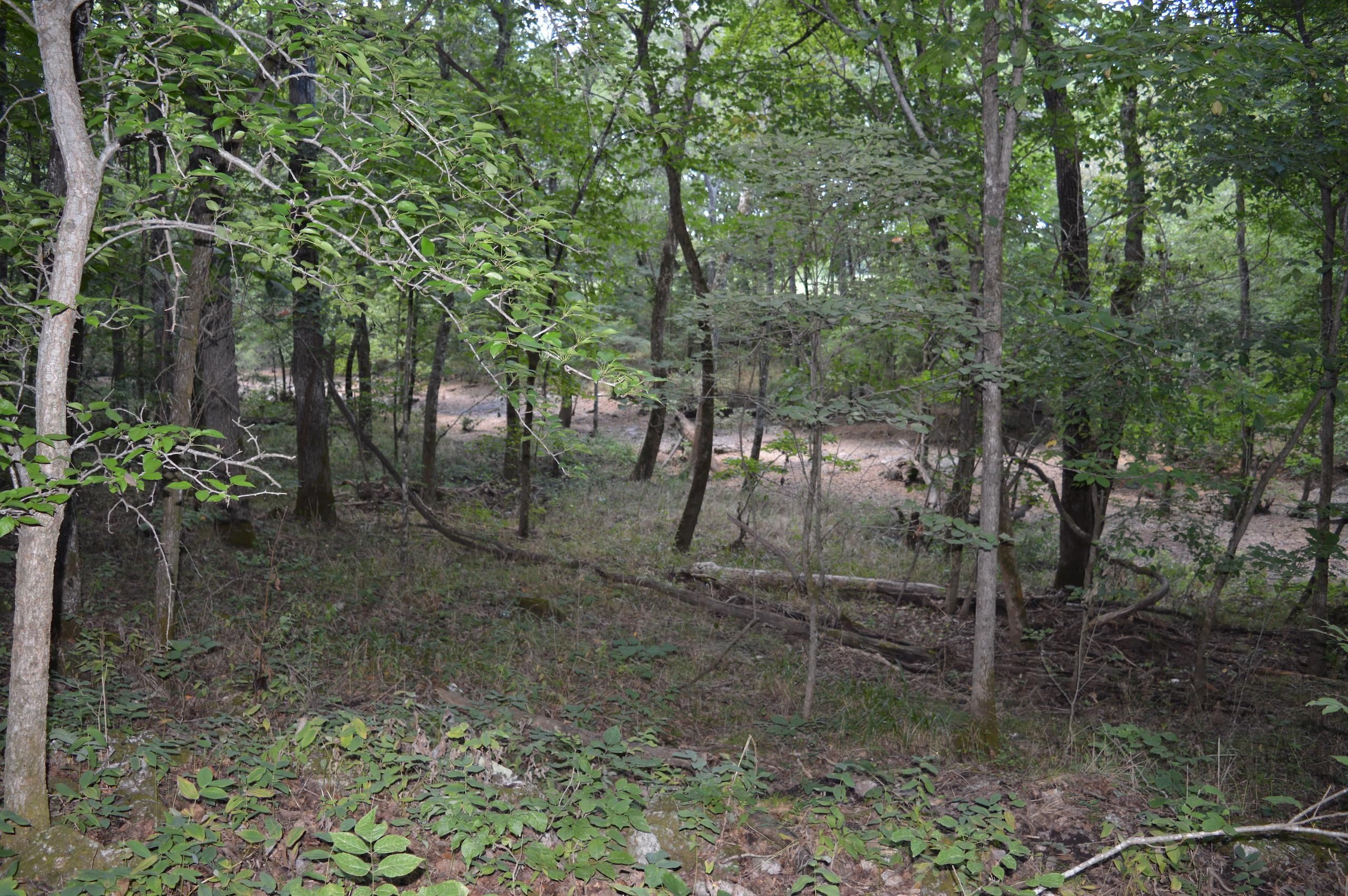 Alton, Oregon County, MO Recreational Property, Timberland Property