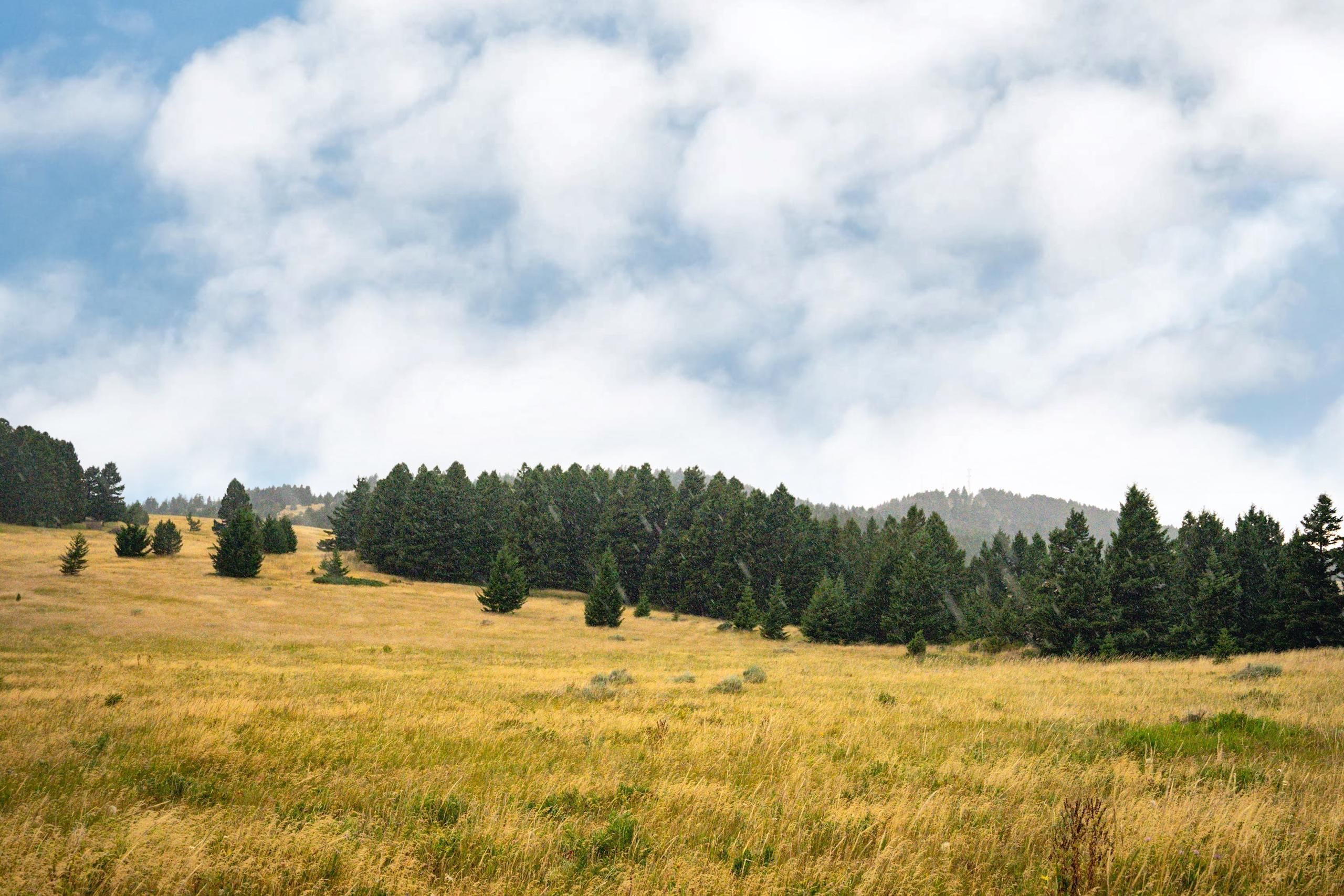 Livingston, Park County, MT Recreational Property, Timberland Property, Hunting Property for