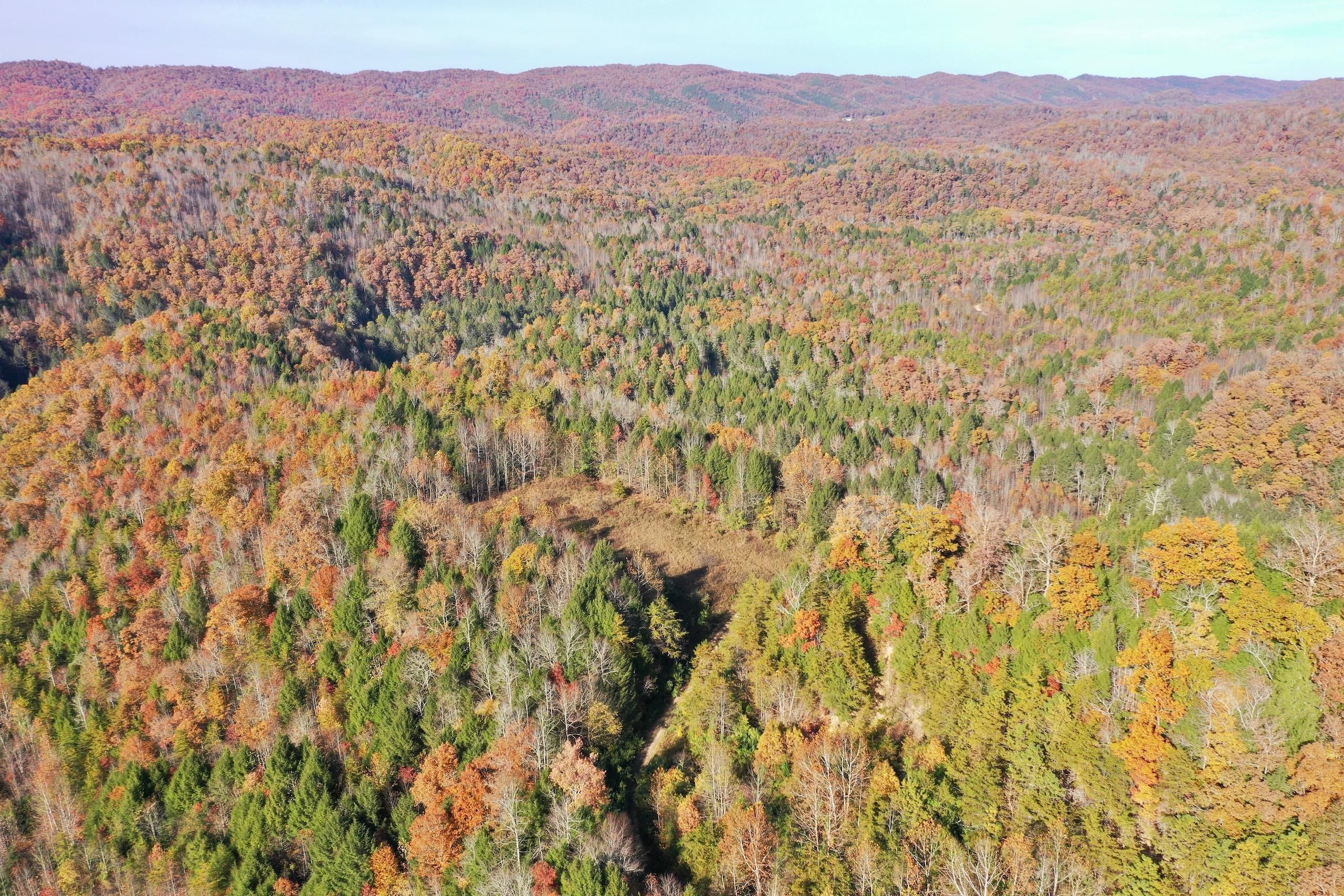 Primroy Road, LotWP001, Duff, TN 37729 LandWatch