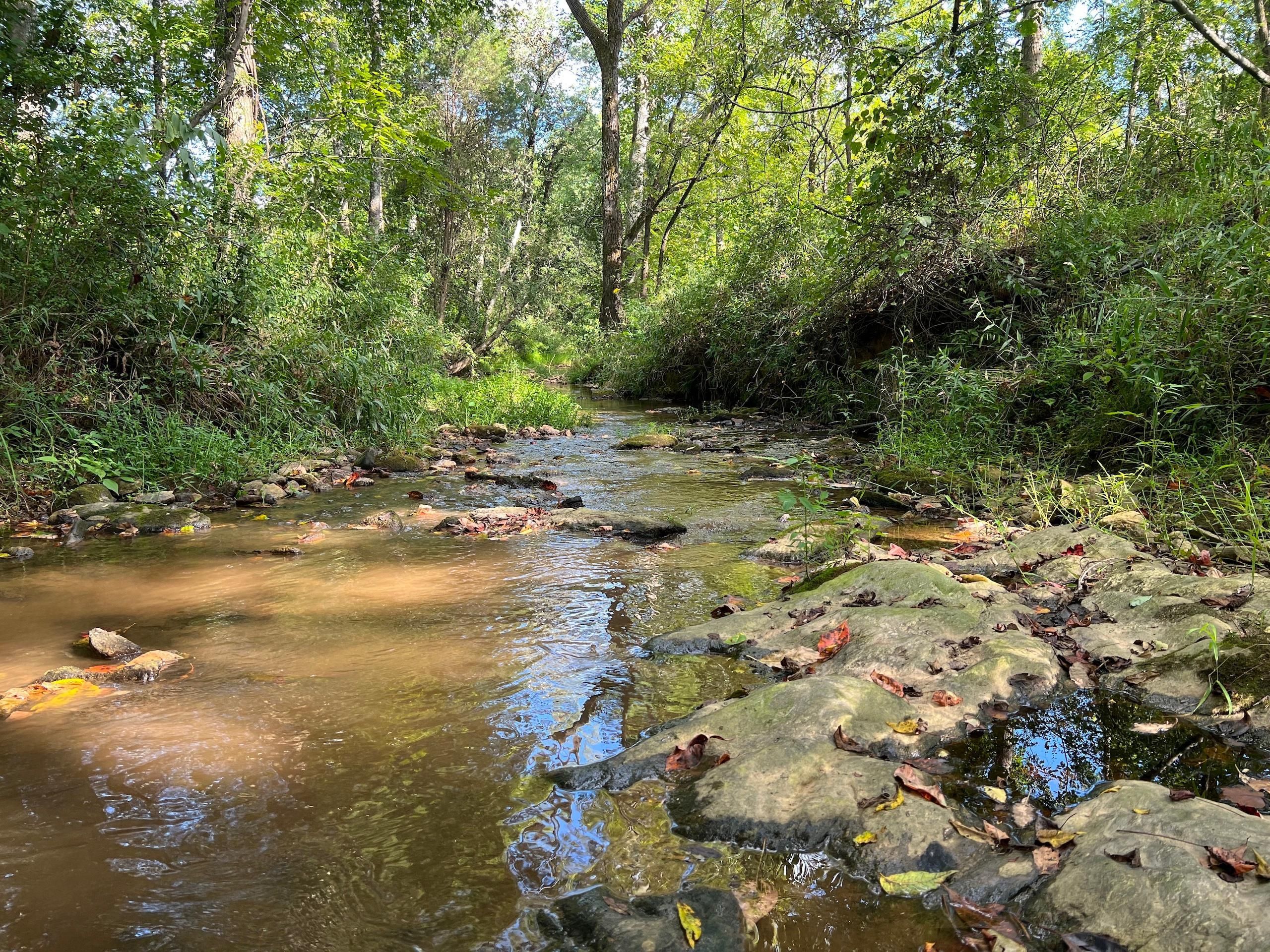 Mooresboro, Rutherford County, NC Recreational Property, Timberland